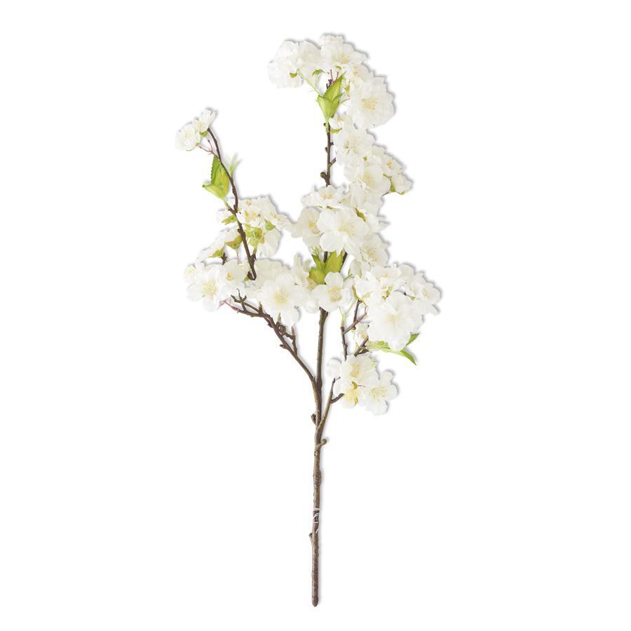 White Cherry Blossom