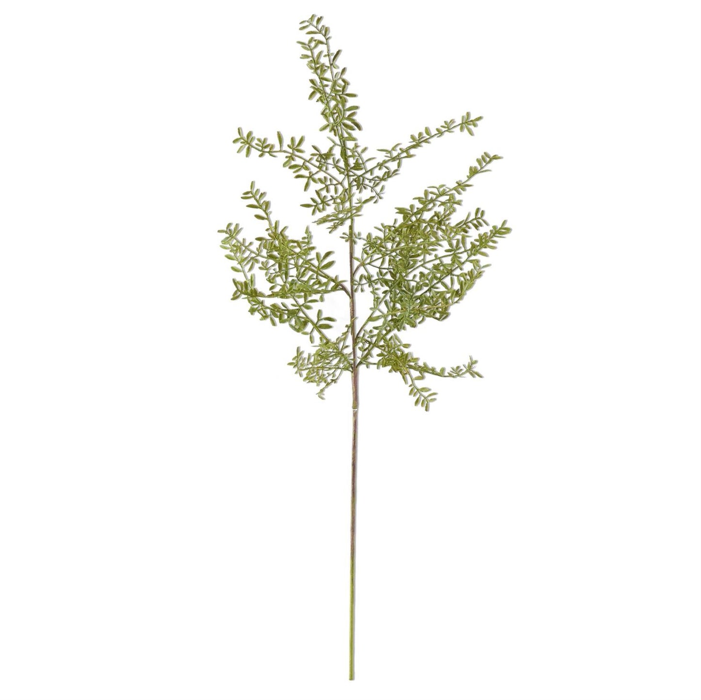 Myra Myrtle Greenery Branch