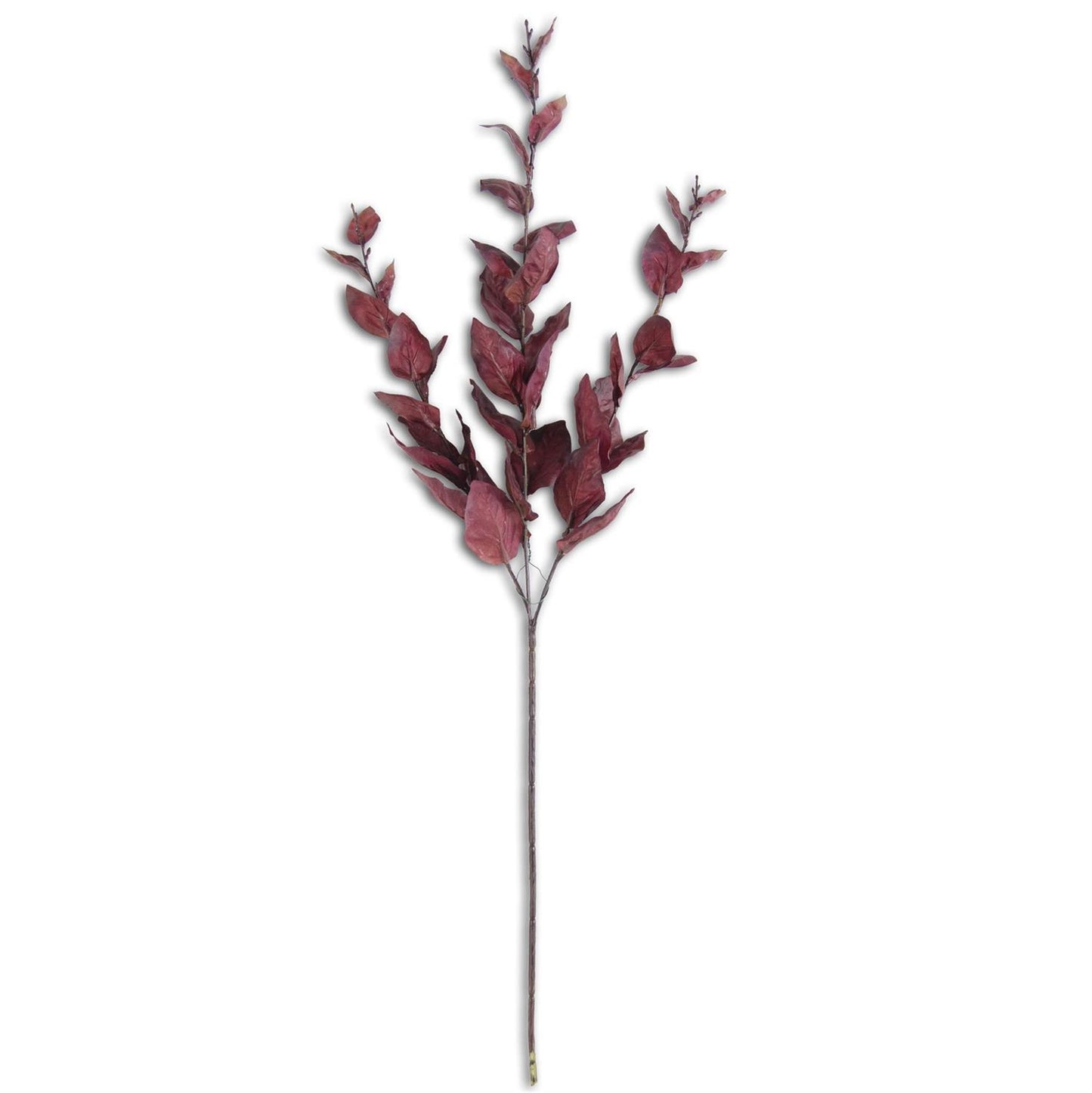 Burgundy Two-Tone Basil Leaves Spray
