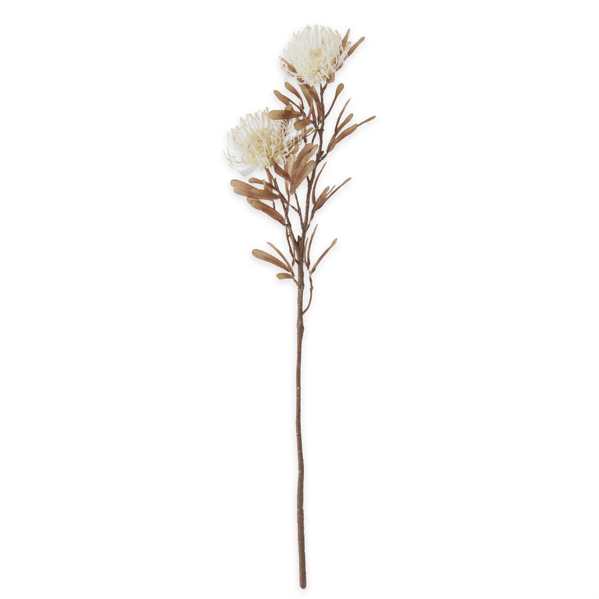30" Cream Pin Cushion Flower Stem