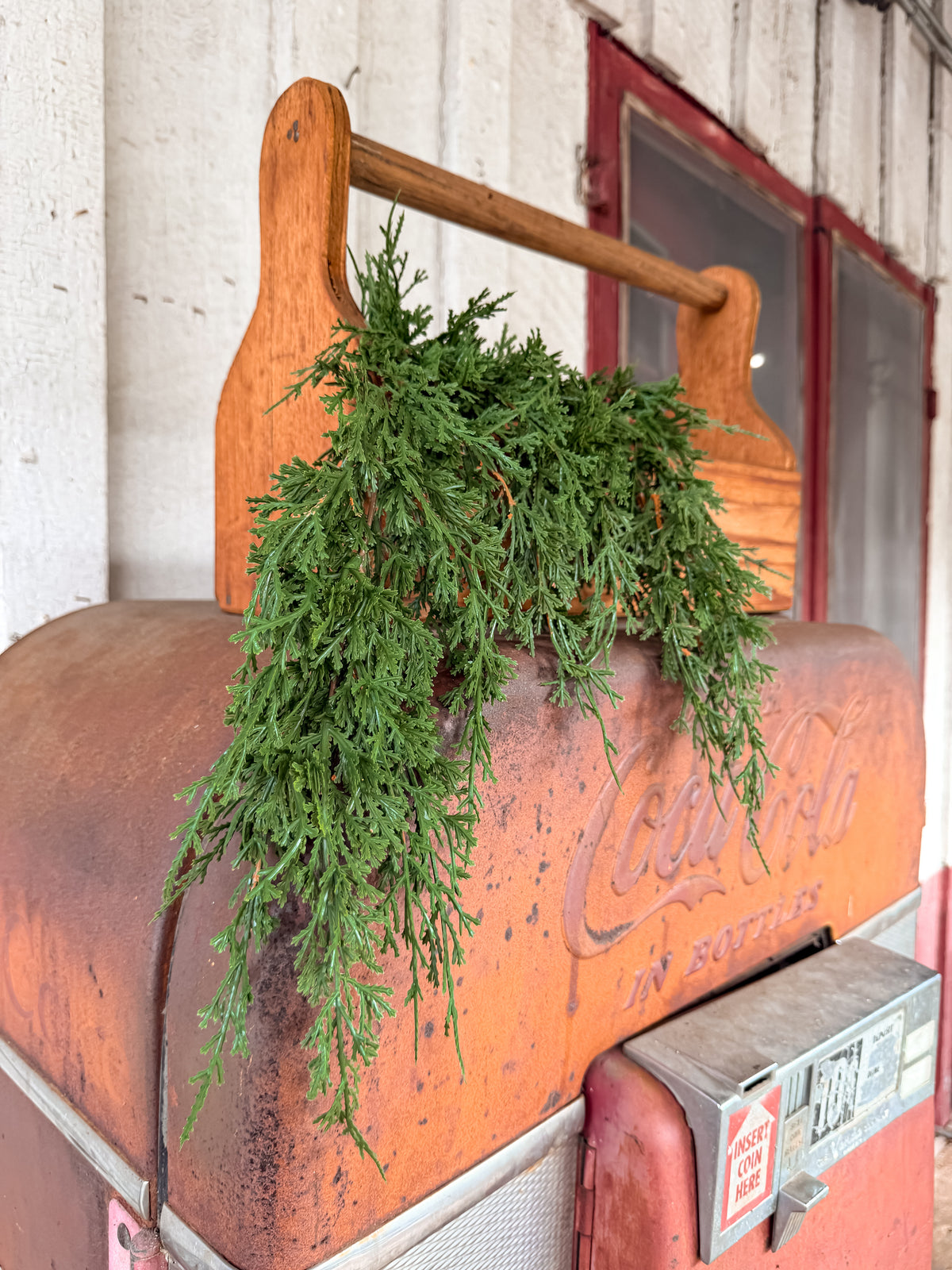 28” Norway Hanging Cedar