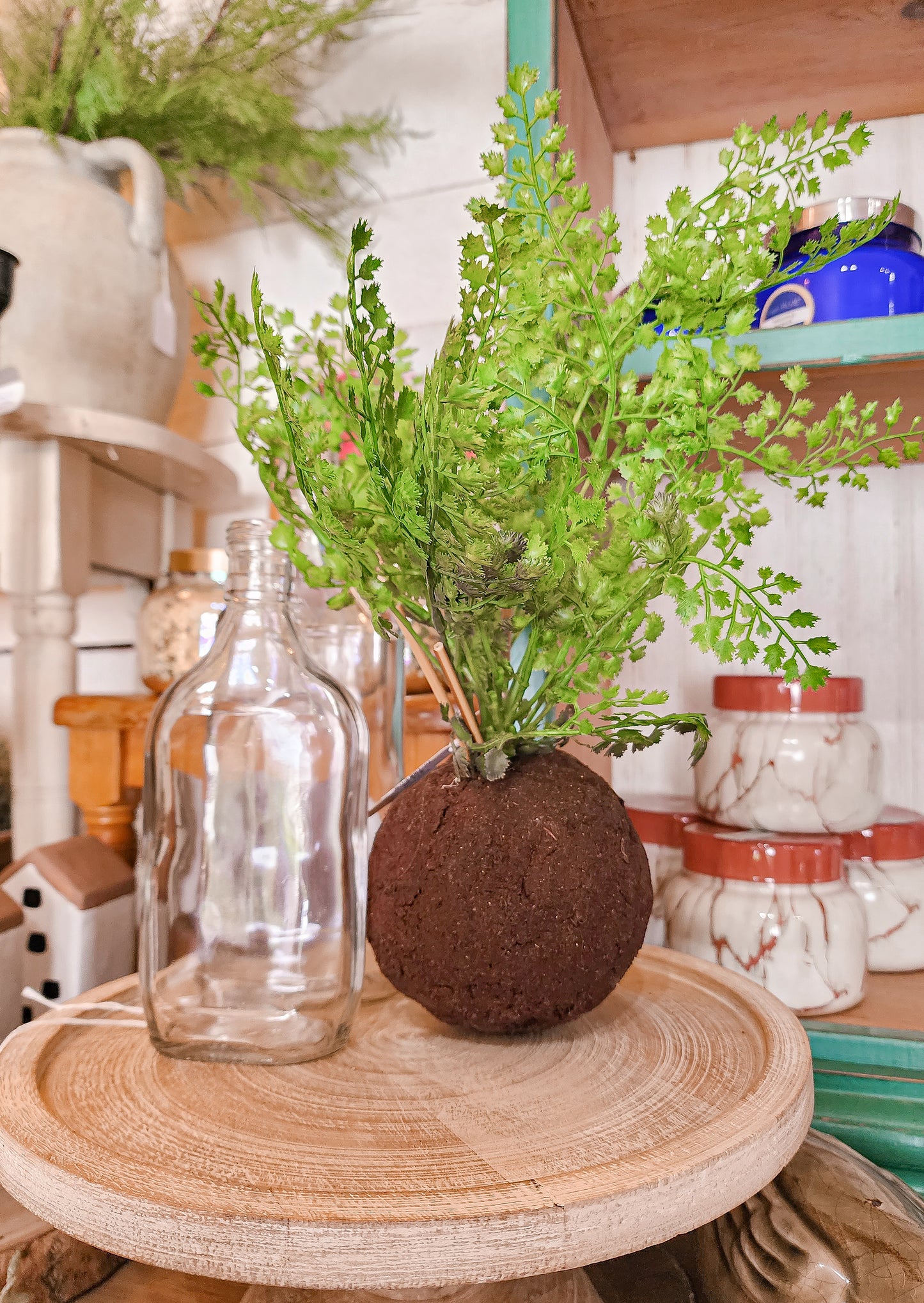 Rooted Maiden Hair Fern Ball