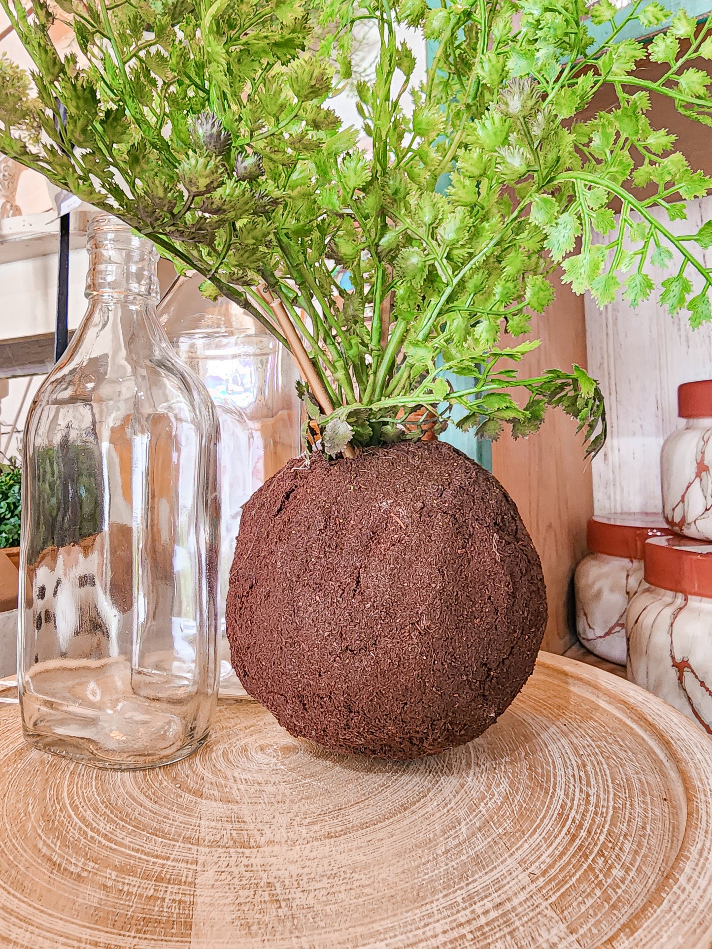 Rooted Maiden Hair Fern Ball