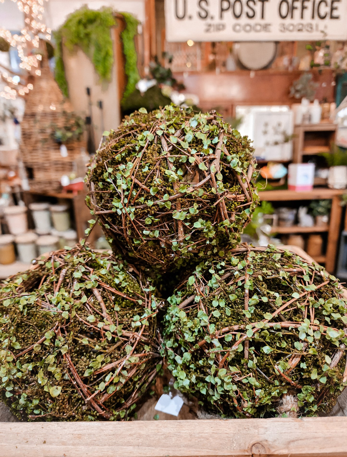 Sweet Vine Orb