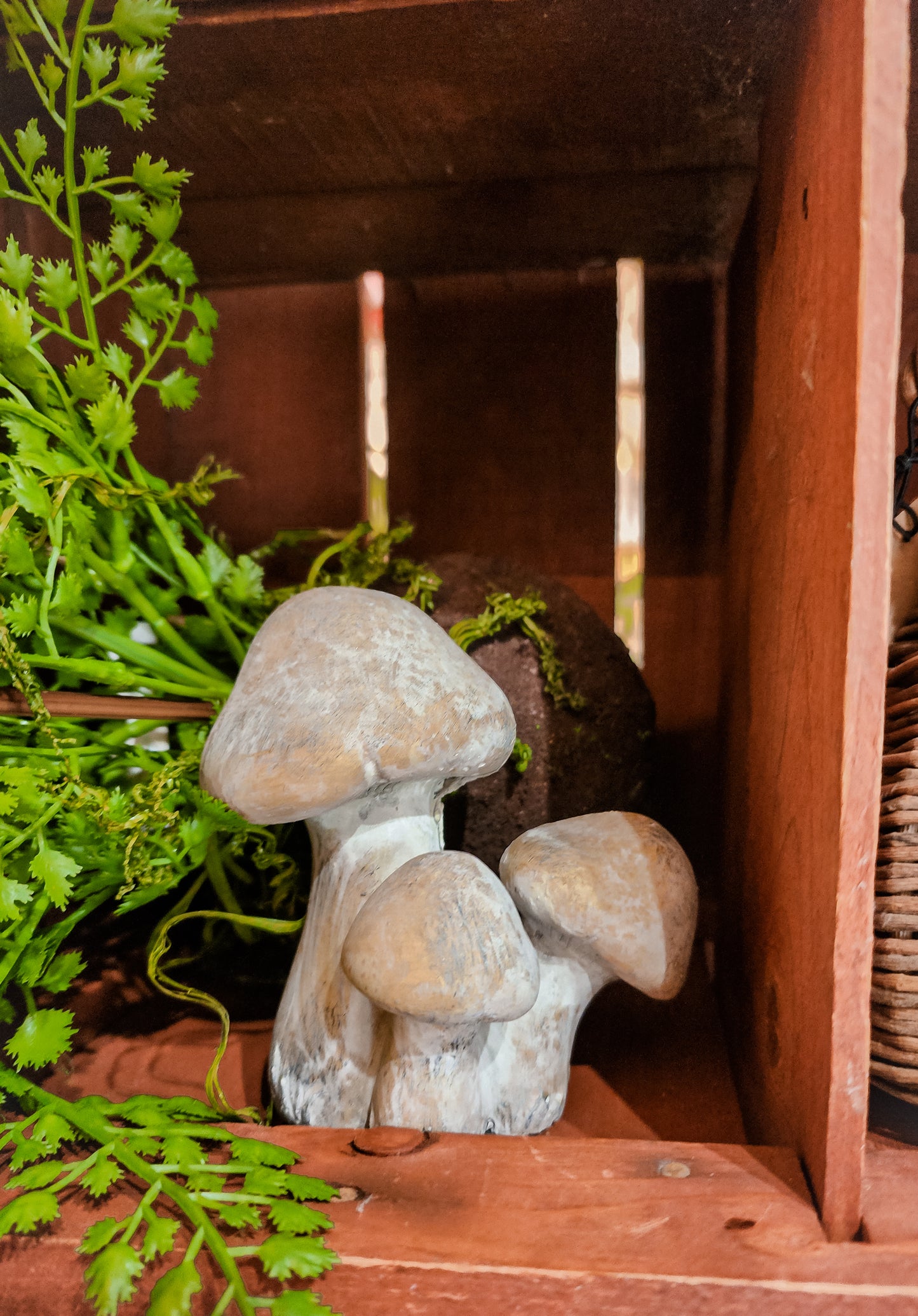 Cement Mushrooms