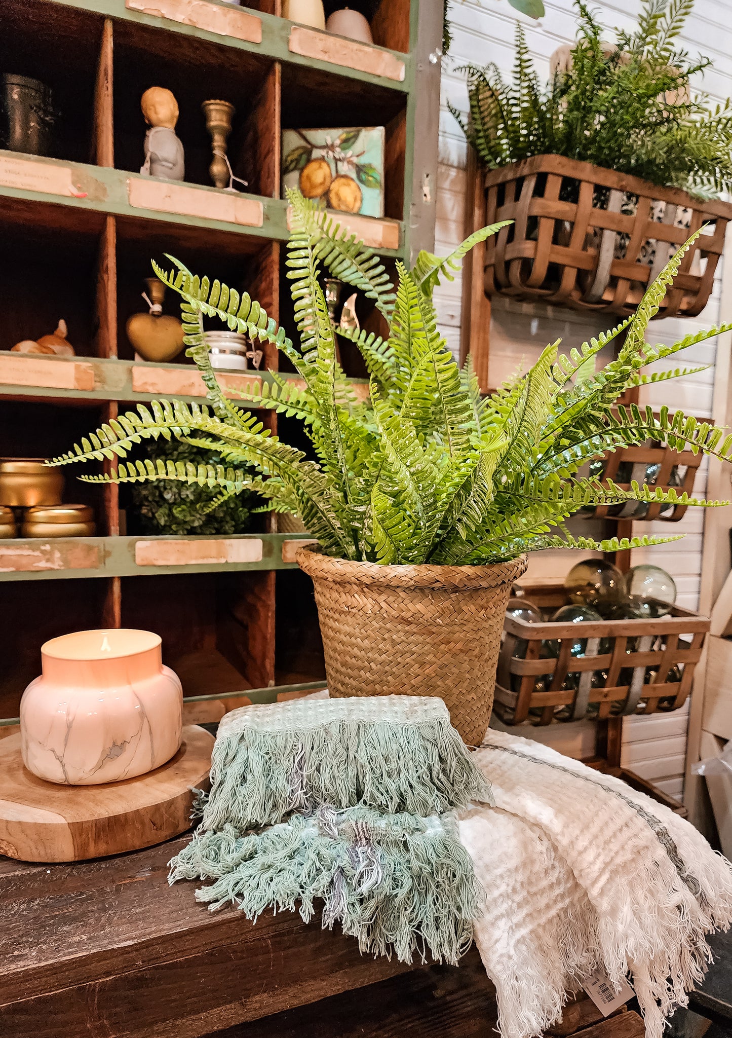 Potted Forest Fern (Real Touch)