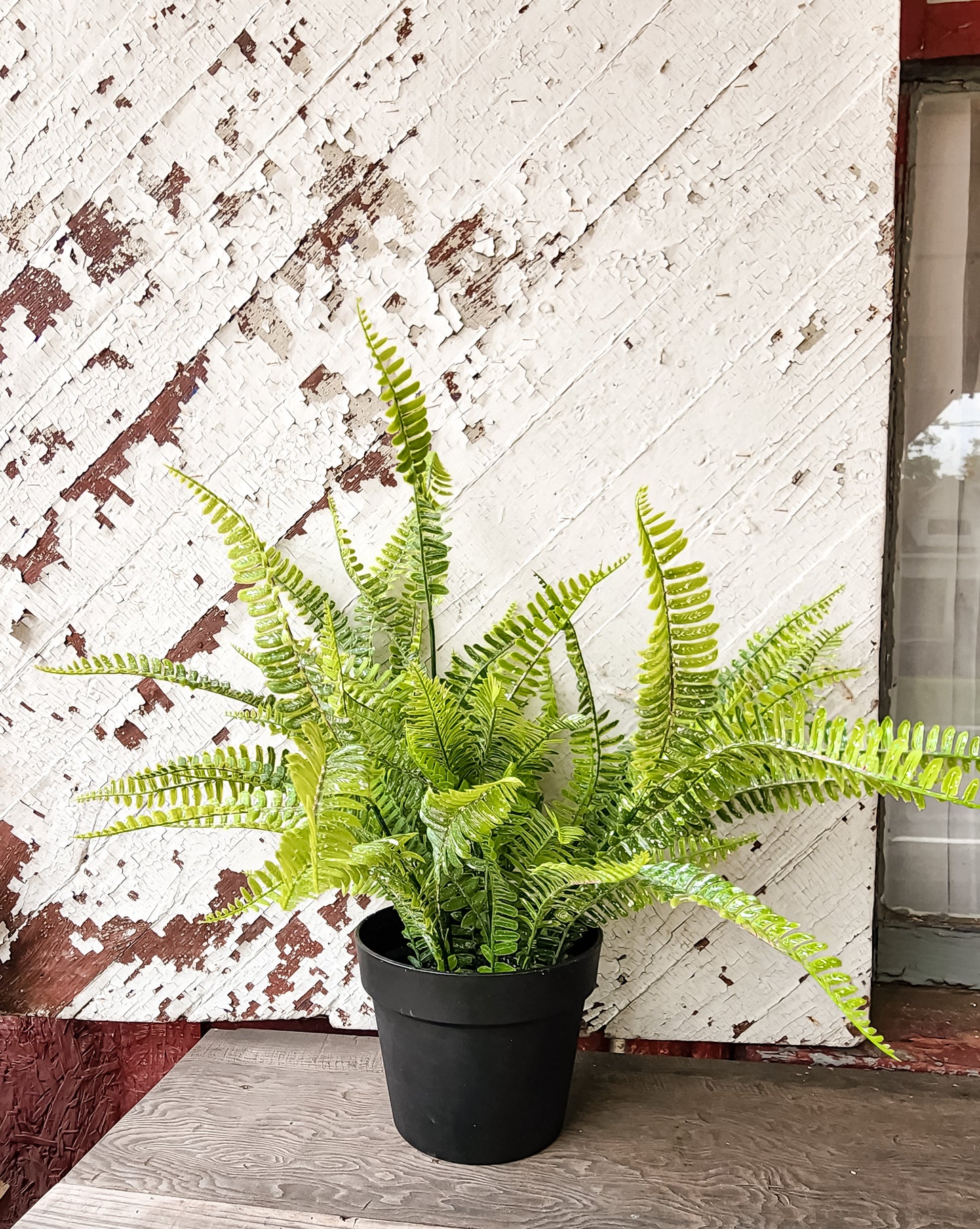 Potted Forest Fern (Real Touch)