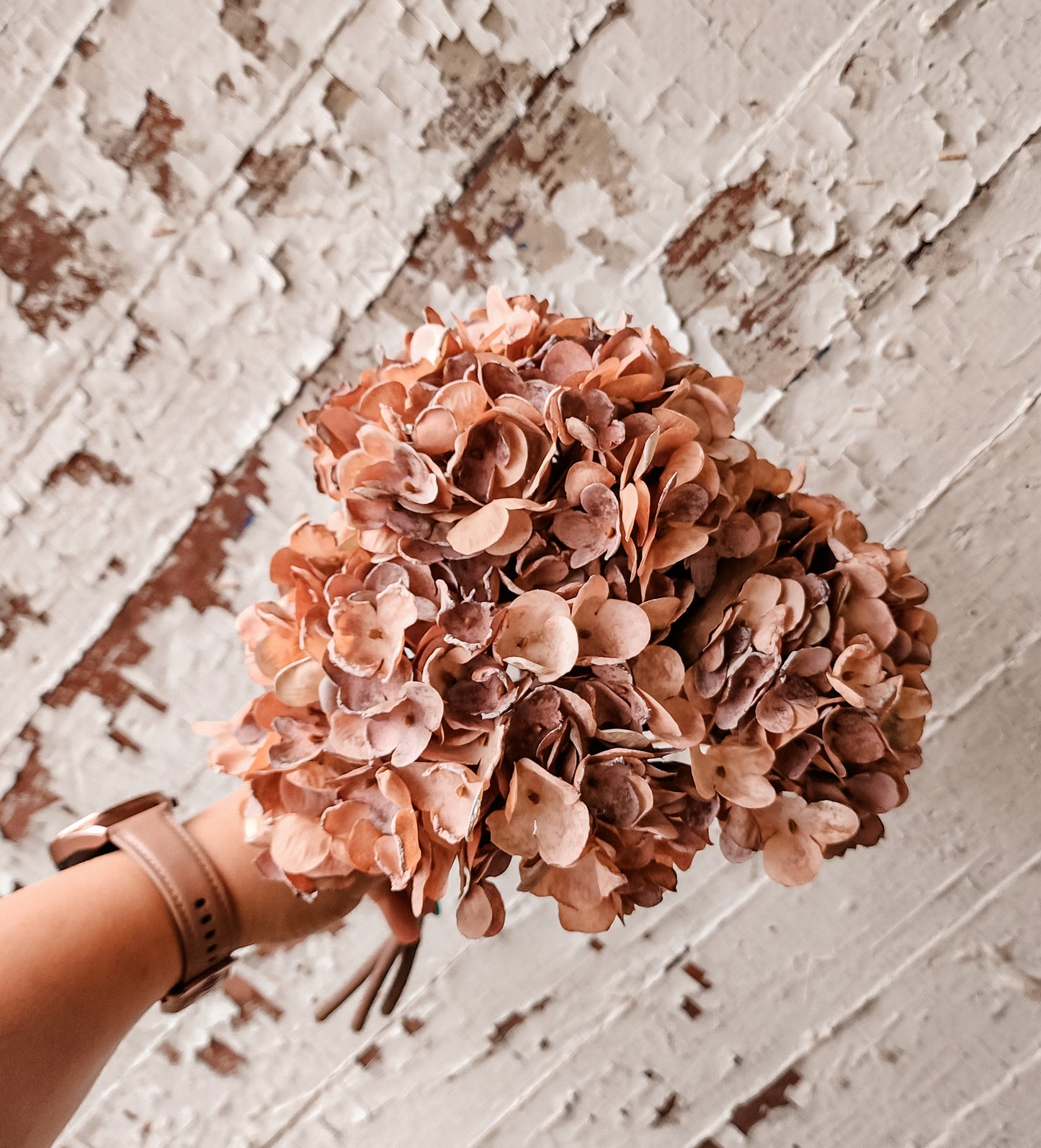 Faux Dried Blush Hydrangeas