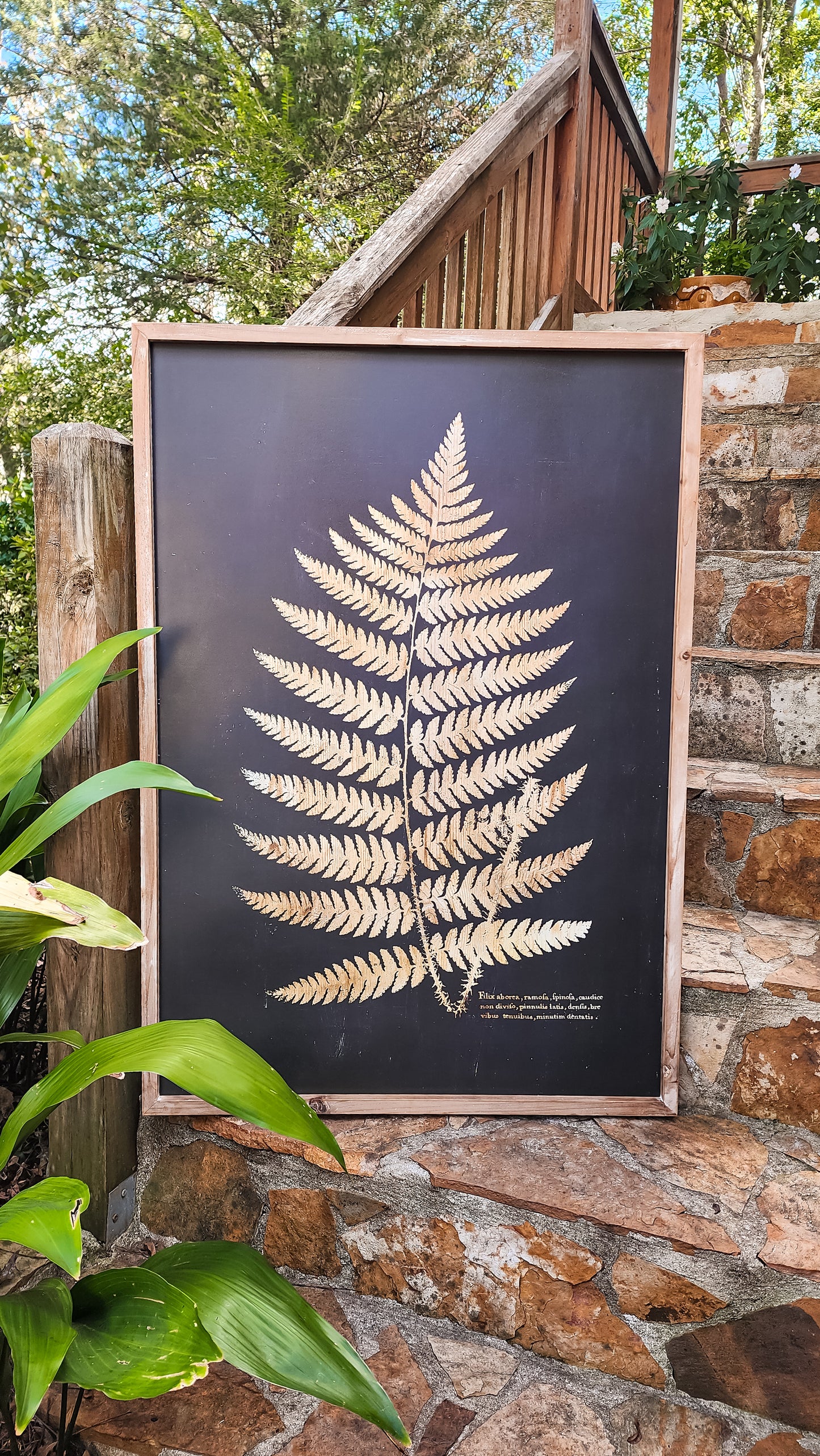 Oversized Fern Prints (2 Styles)