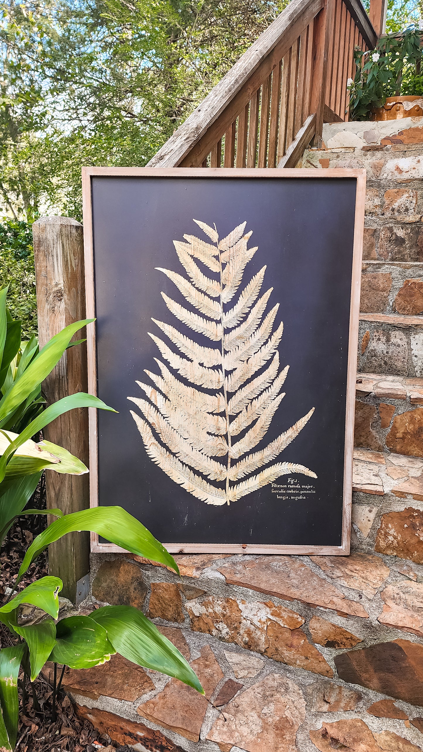 Oversized Fern Prints (2 Styles)