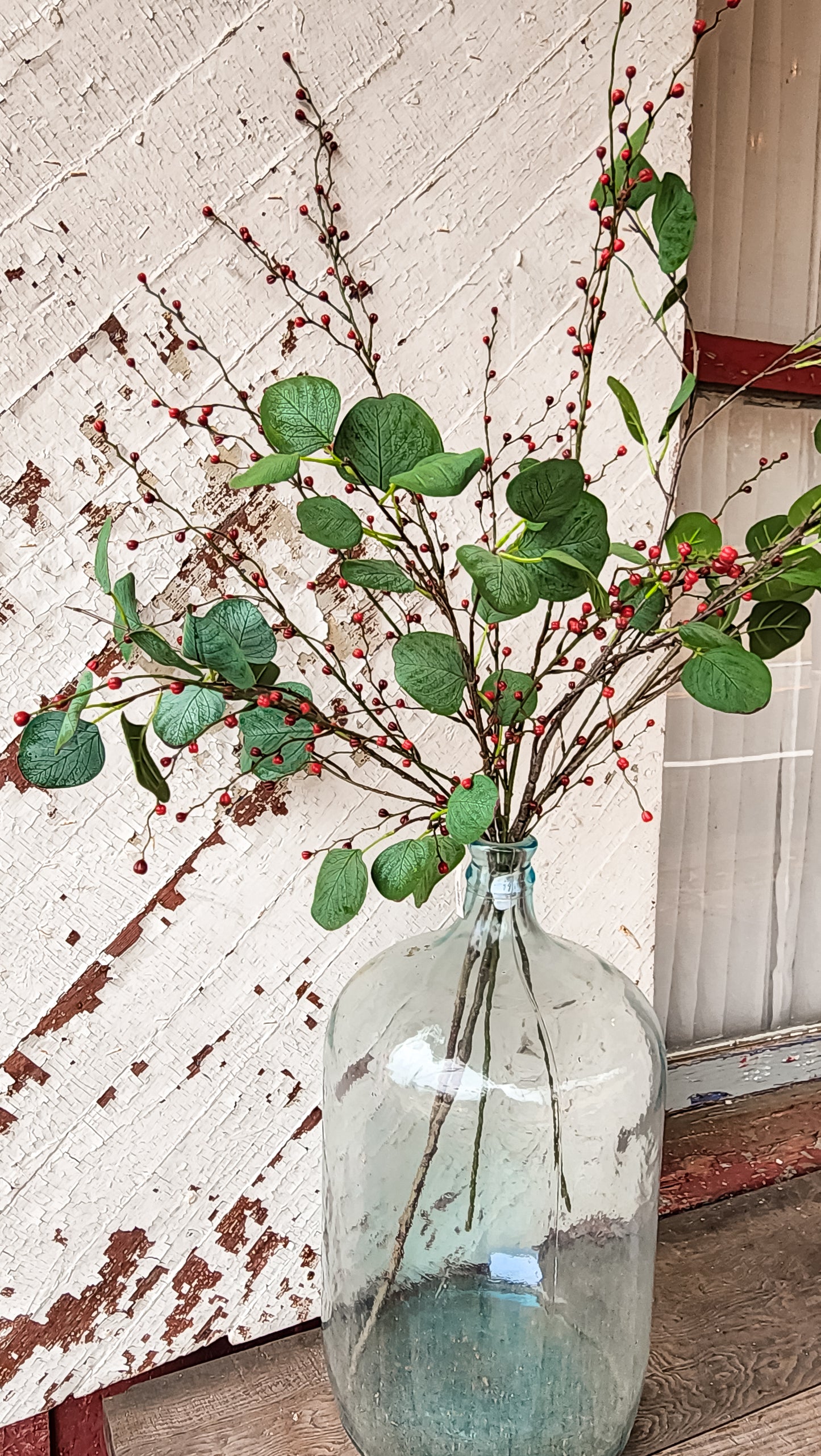 Cove Eucalyptus Branch