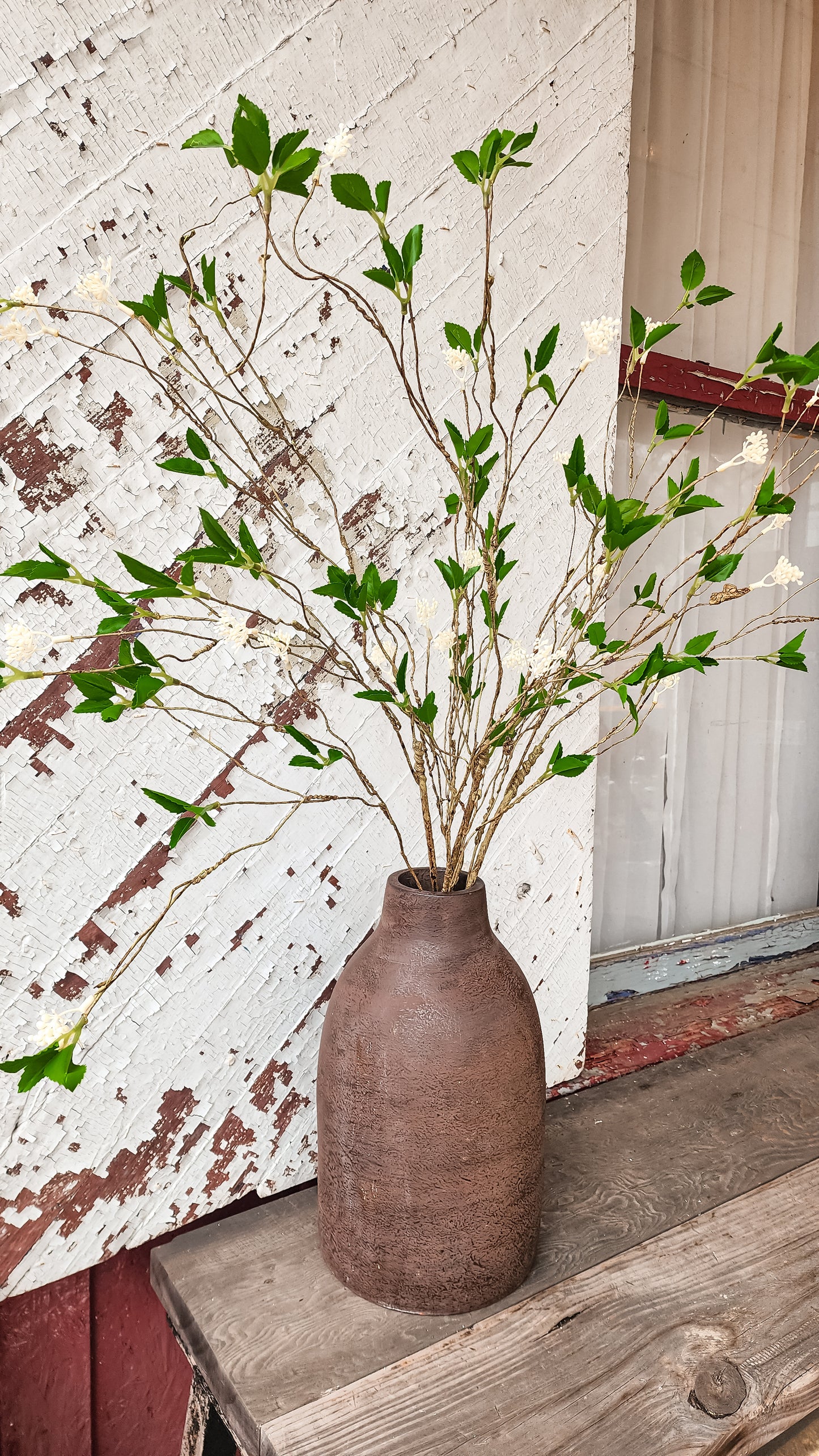 Willow Budding Branch