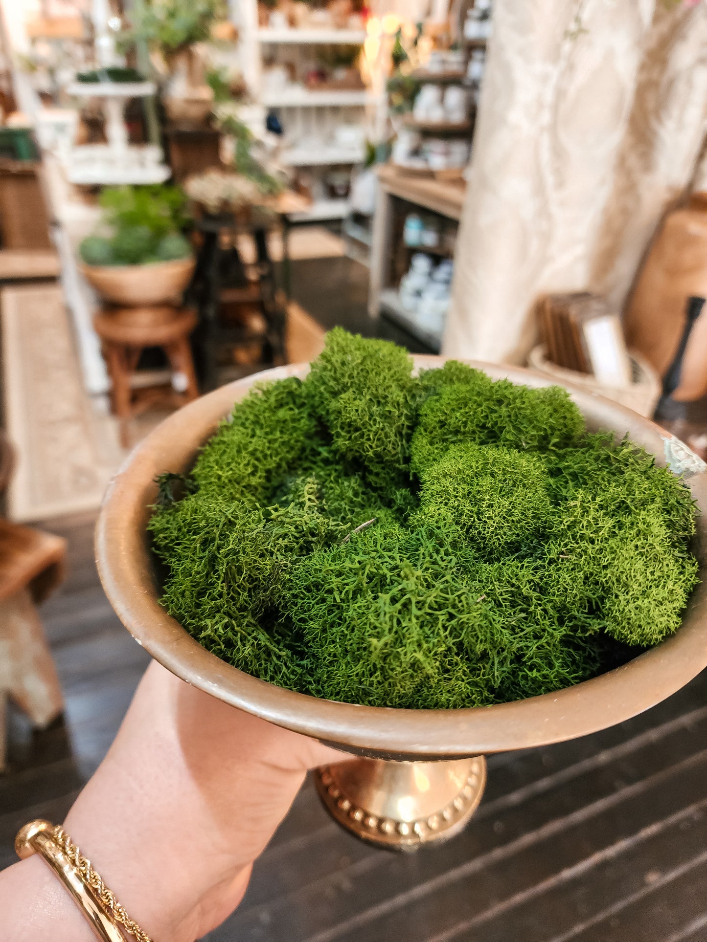 Reindeer Moss Bagged 2.0 Oz (Two Colors)