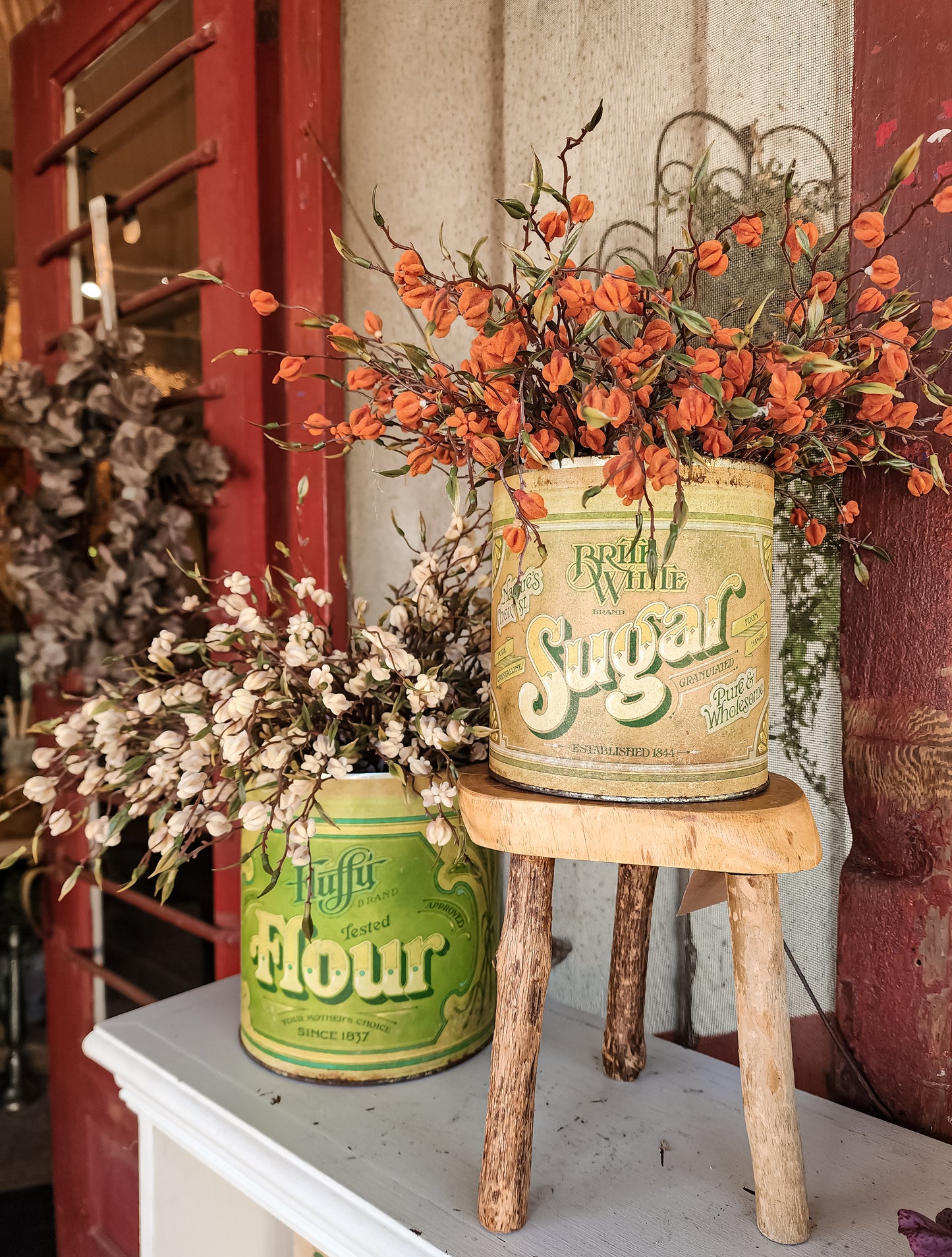 Fall Dreaming Bush (Assorted Colors)