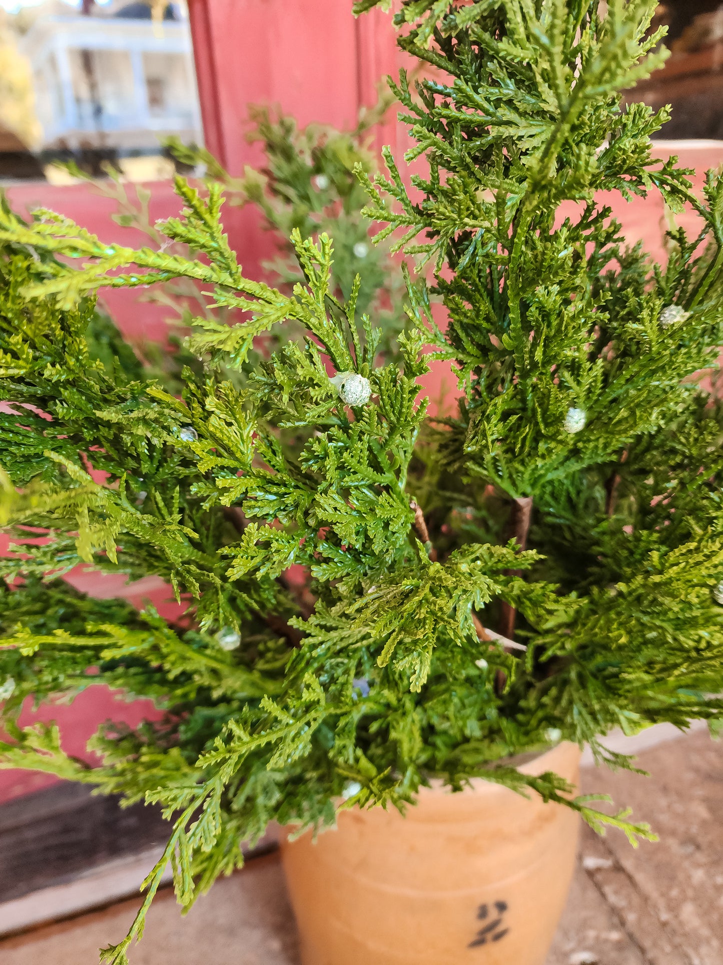Forest Juniper Cedar Stem with Berries