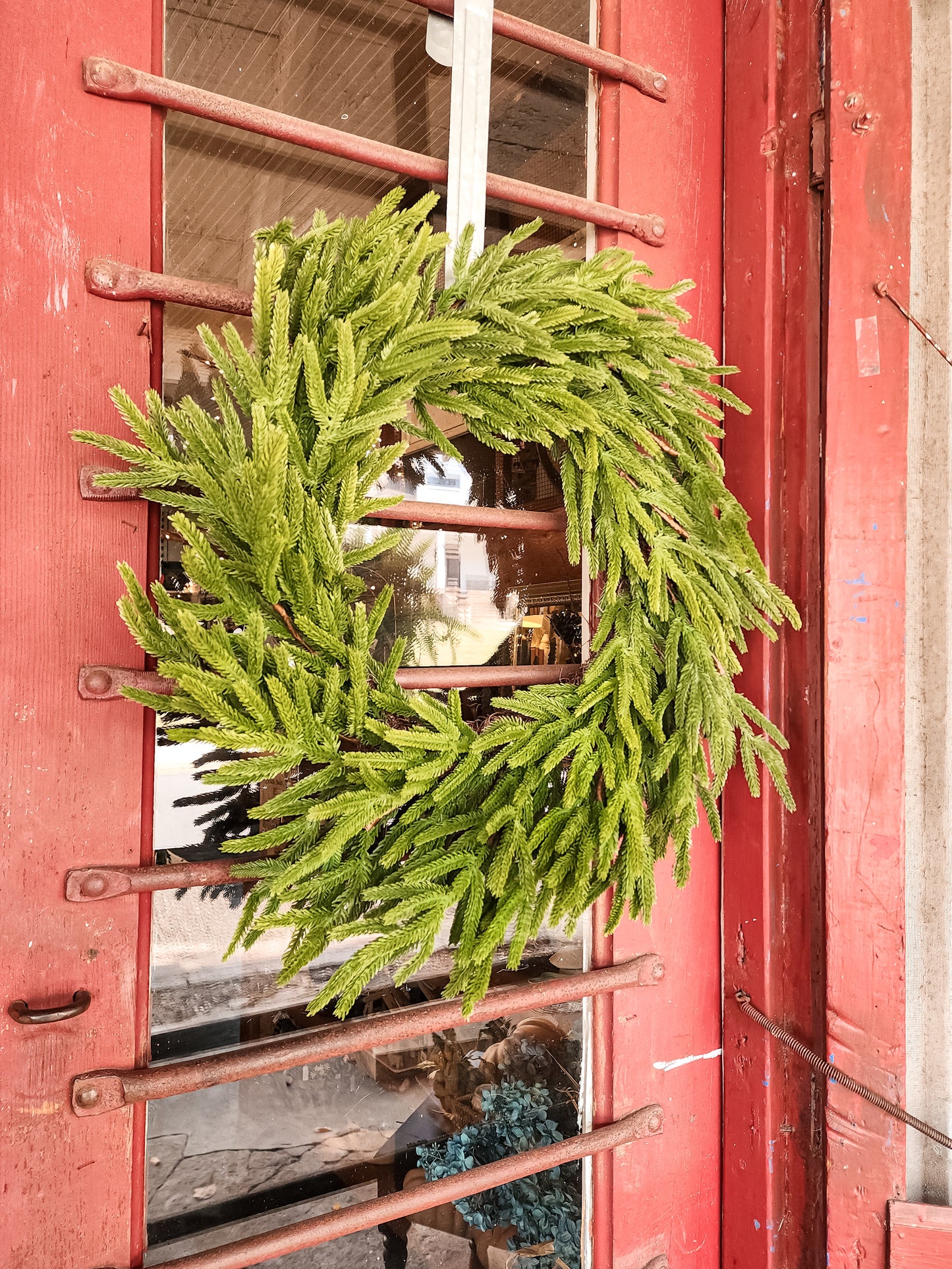 Norfolk Real Touch Wreath