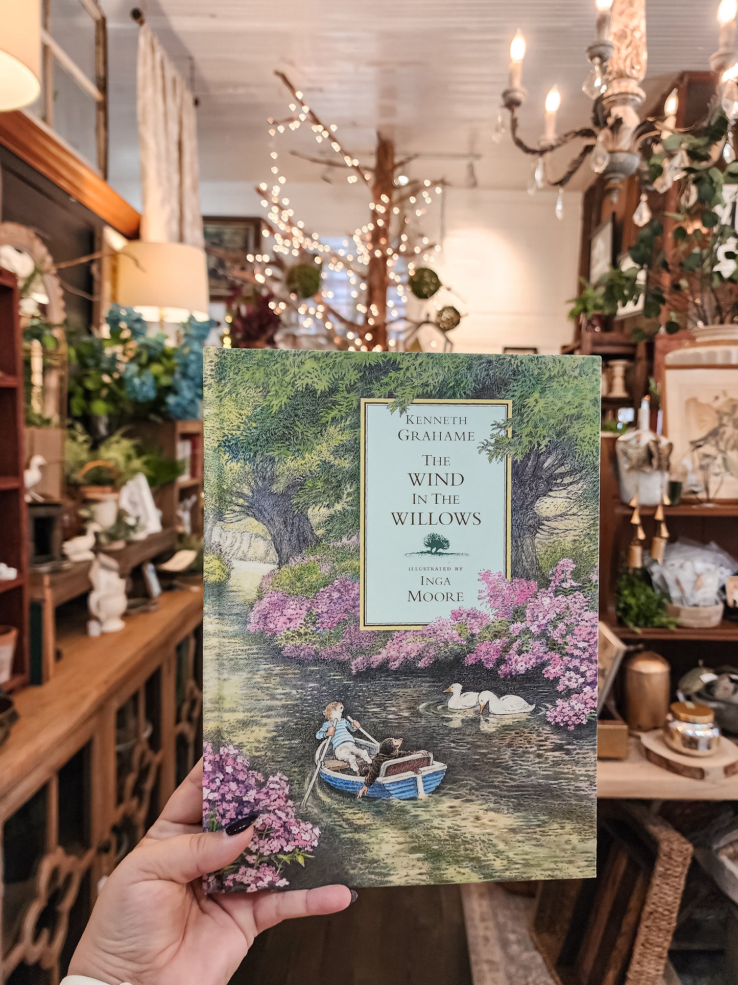 The Wind In The Willows Book