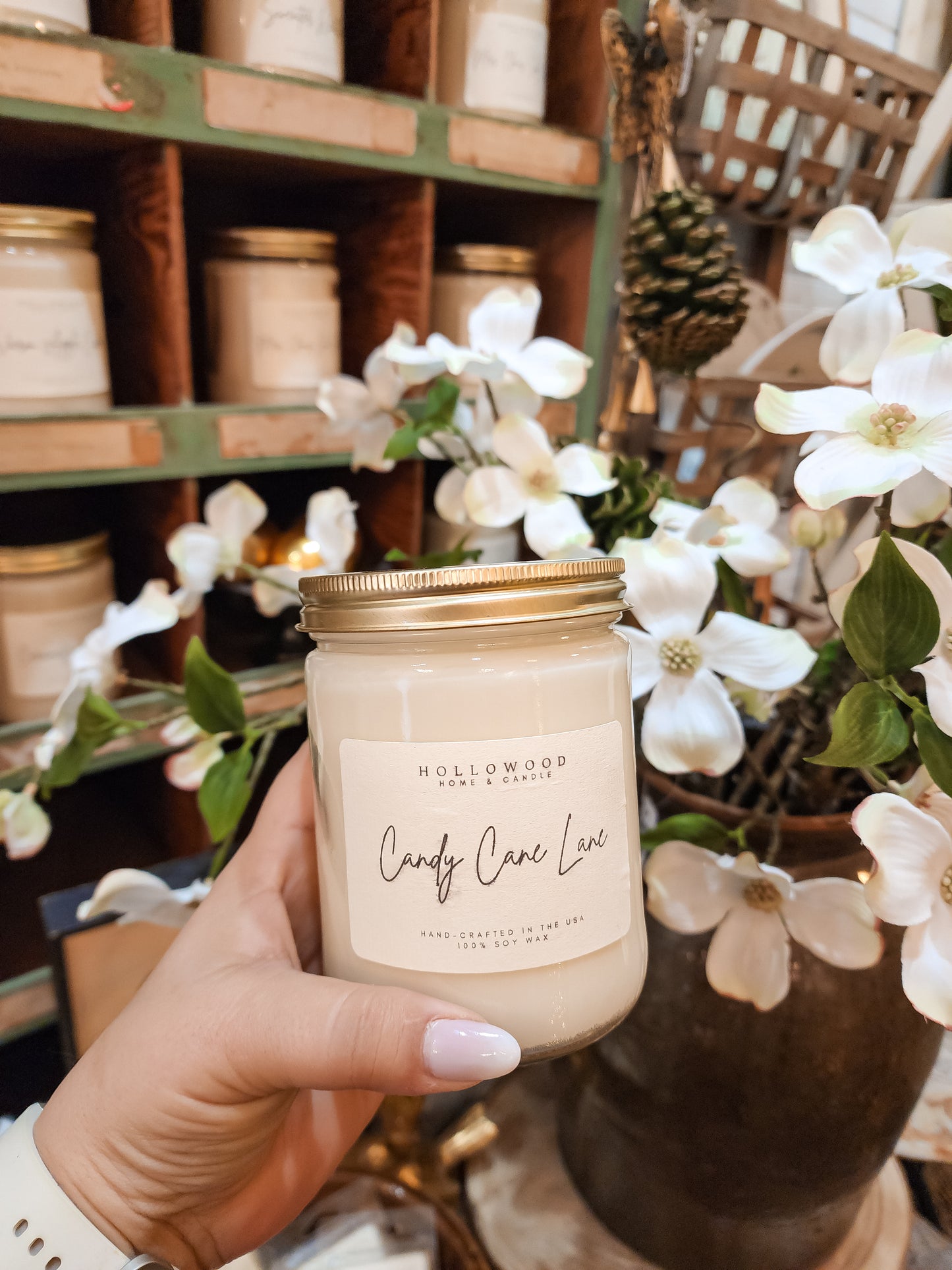 Holiday Hollowood Candles