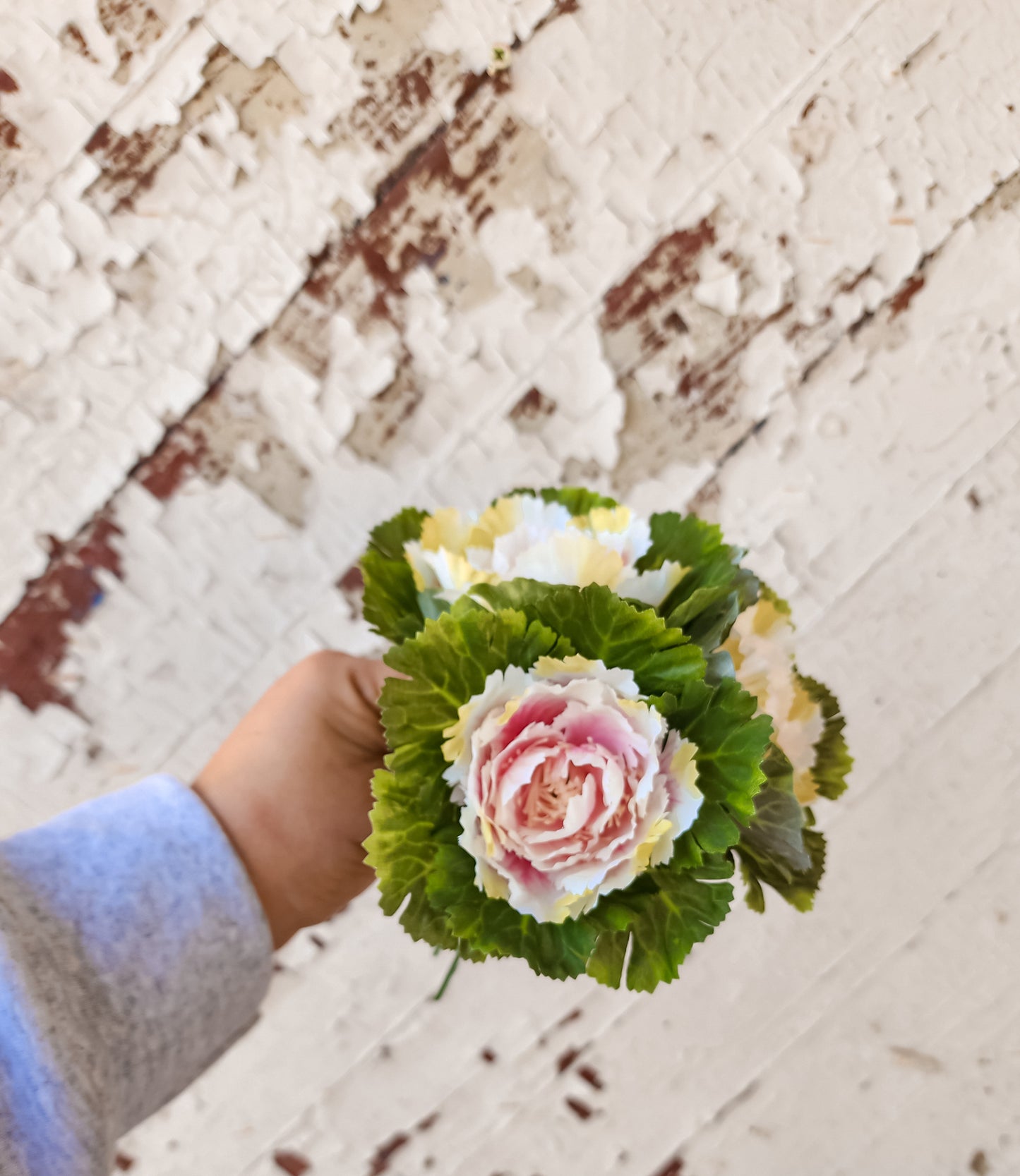 Spring Kale Bunch