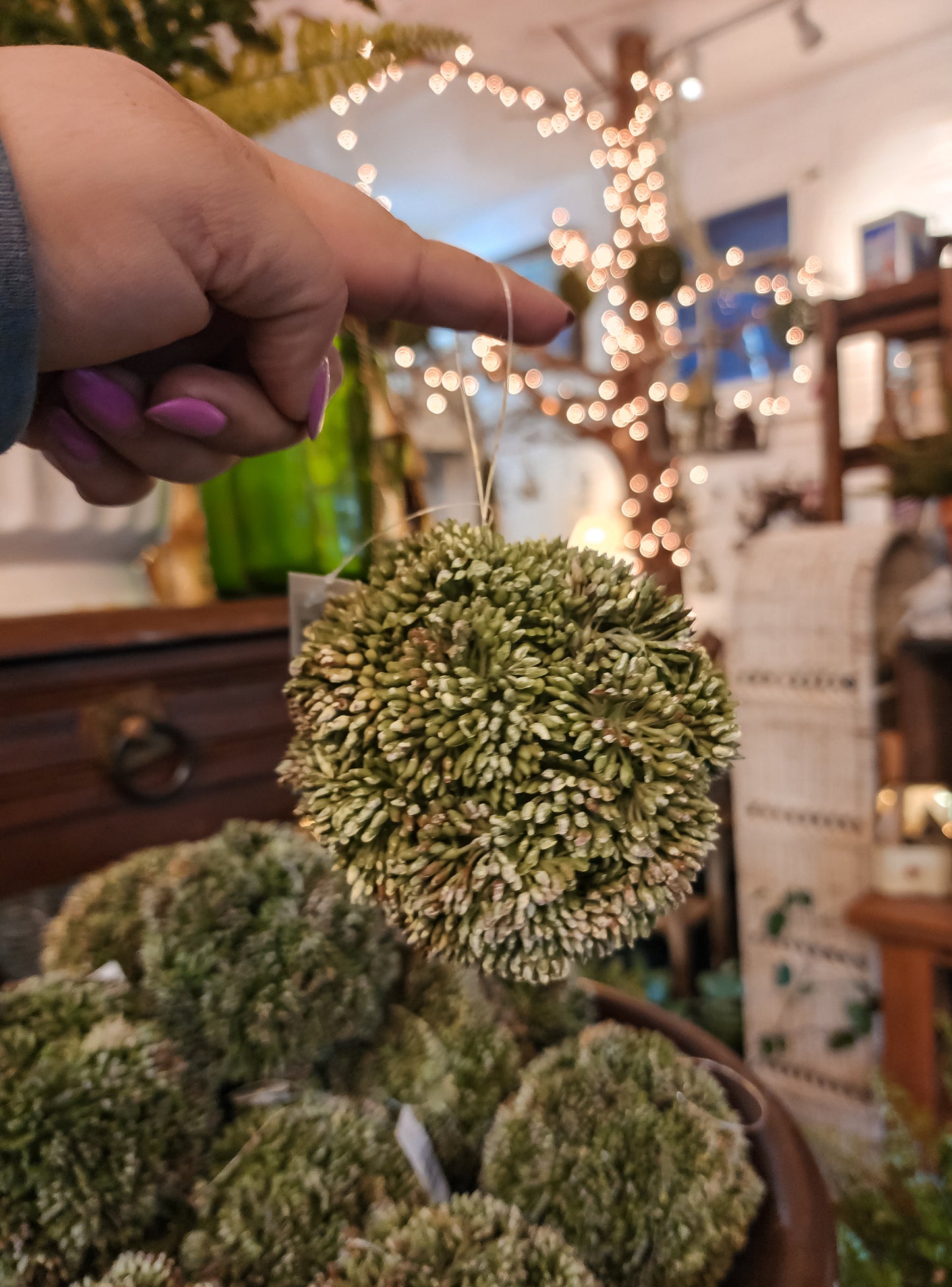 Green Seeded Orb