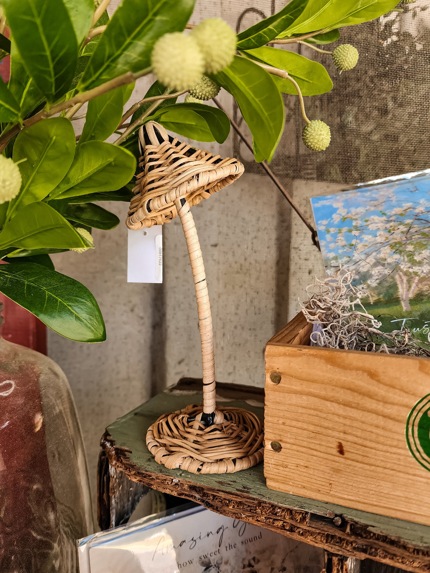 Rattan Mushrooms