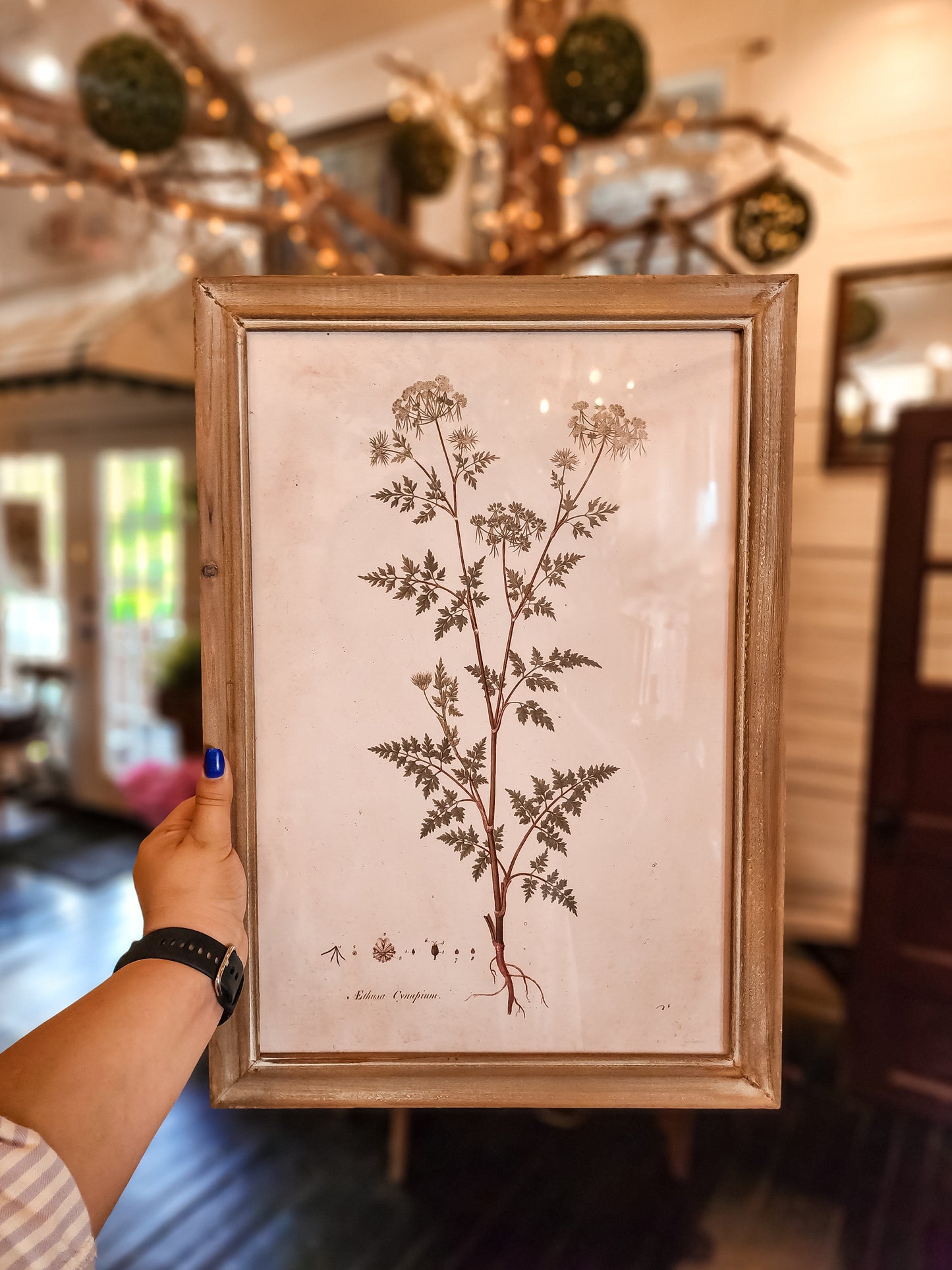 Fern Art Work (Assorted)