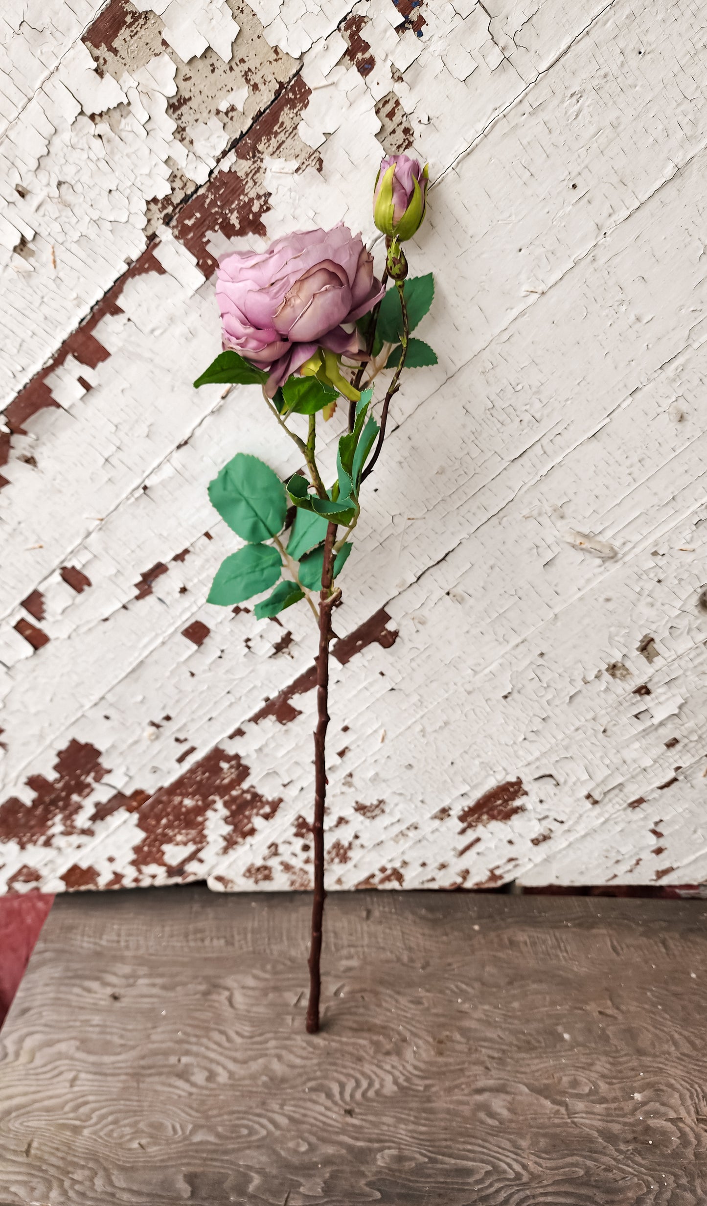 Camilla Rose Stem (Assorted Colors)