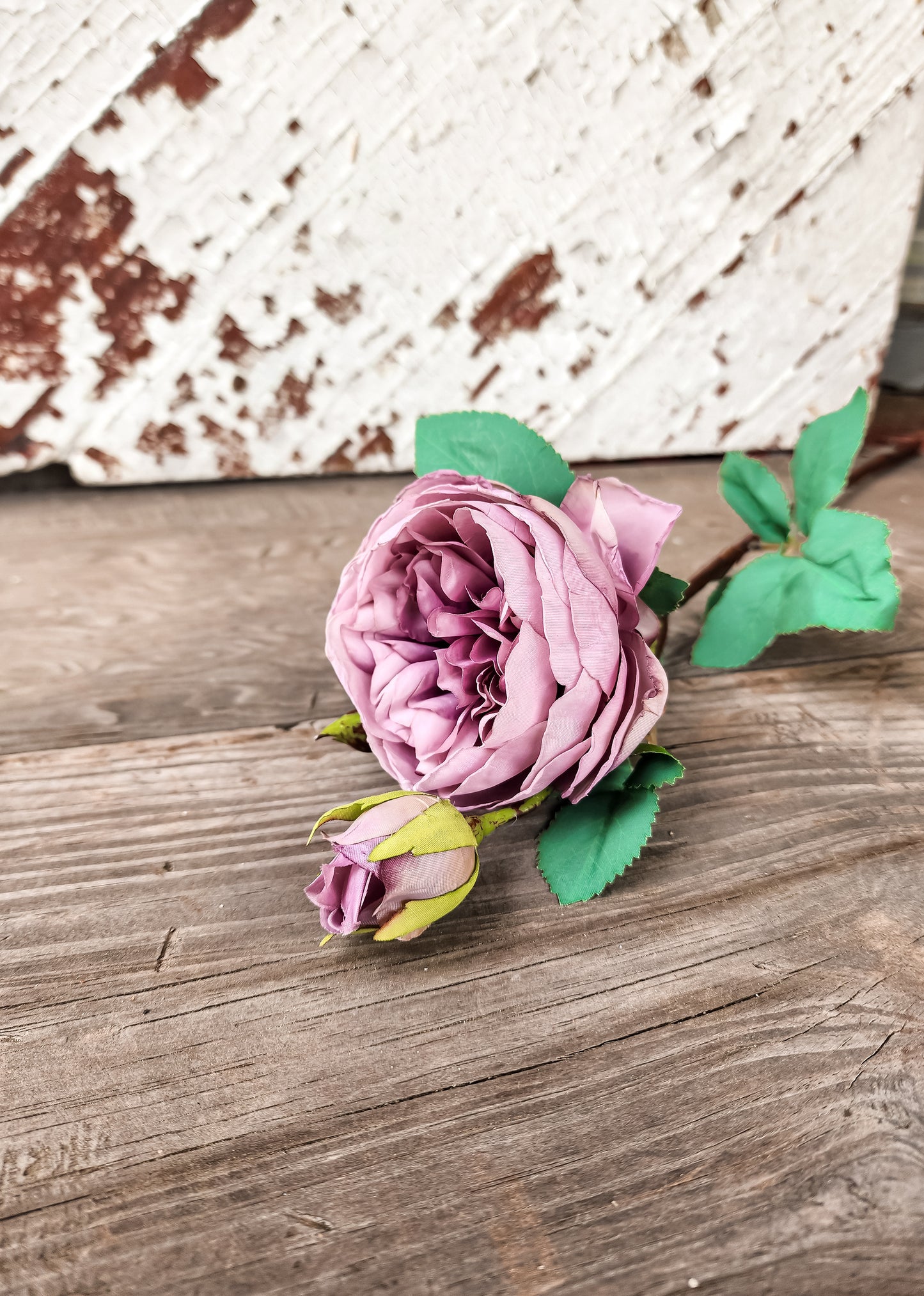 Camilla Rose Stem (Assorted Colors)