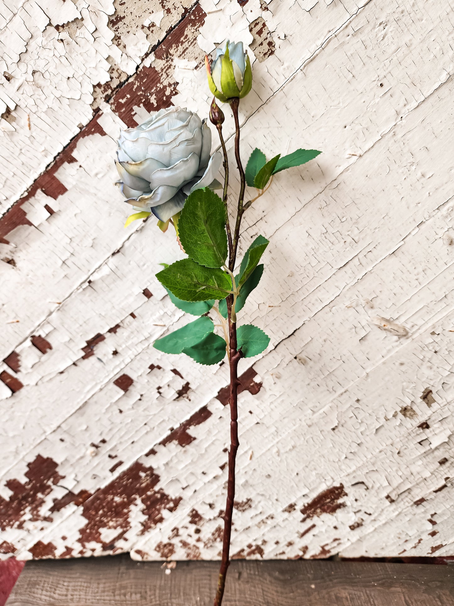 Camilla Rose Stem (Assorted Colors)