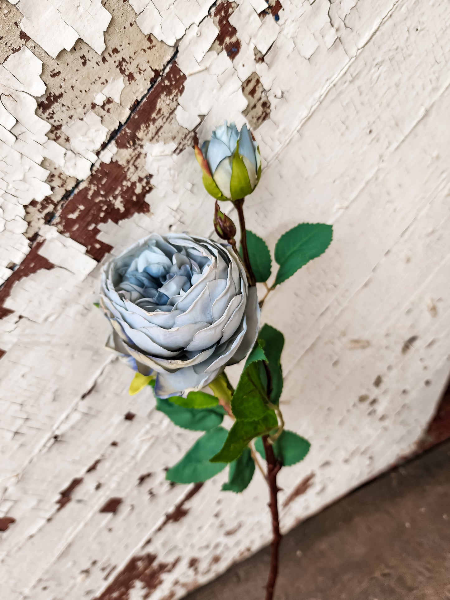 Camilla Rose Stem (Assorted Colors)