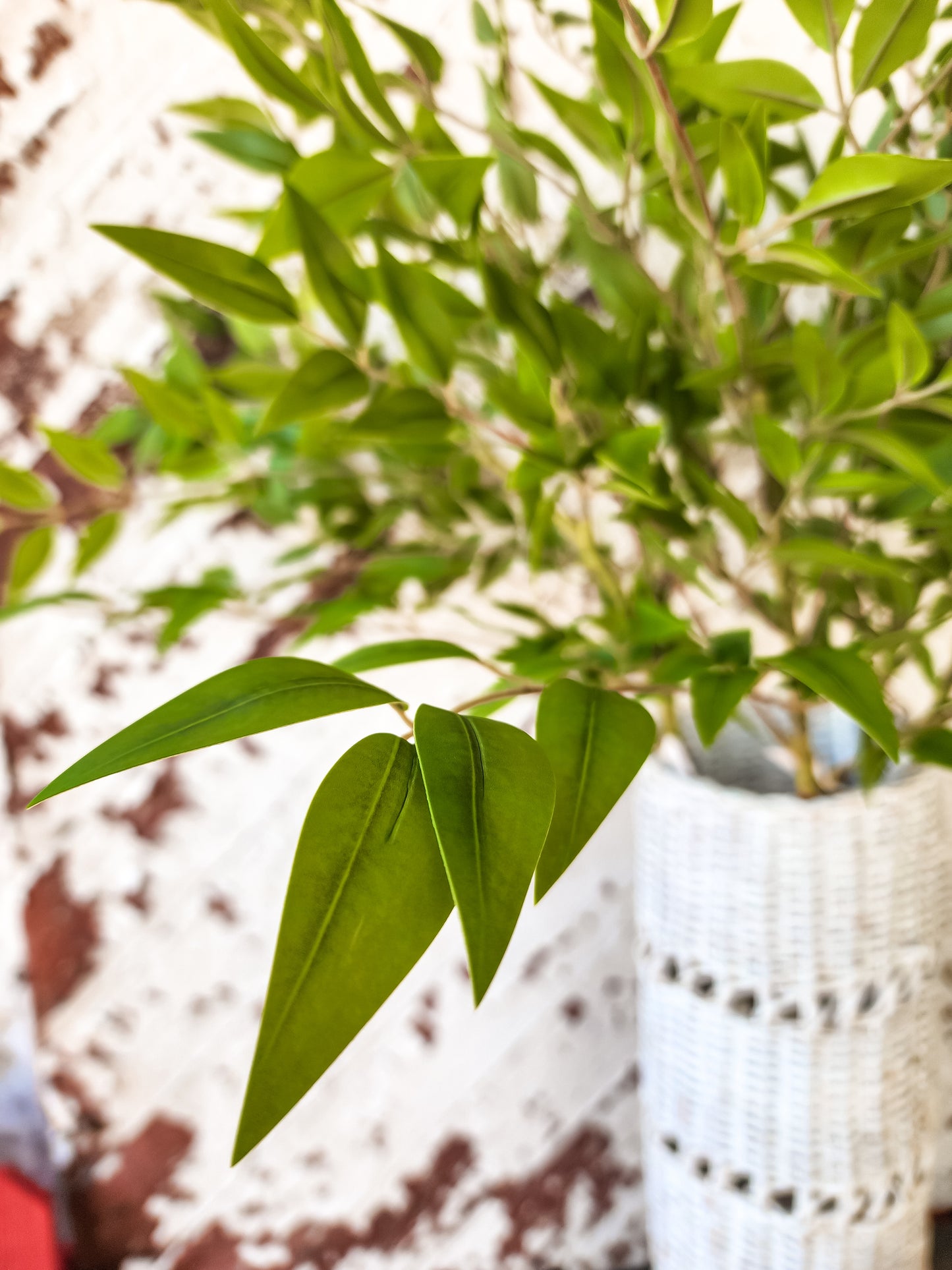 34" Naomi Leafy Stem