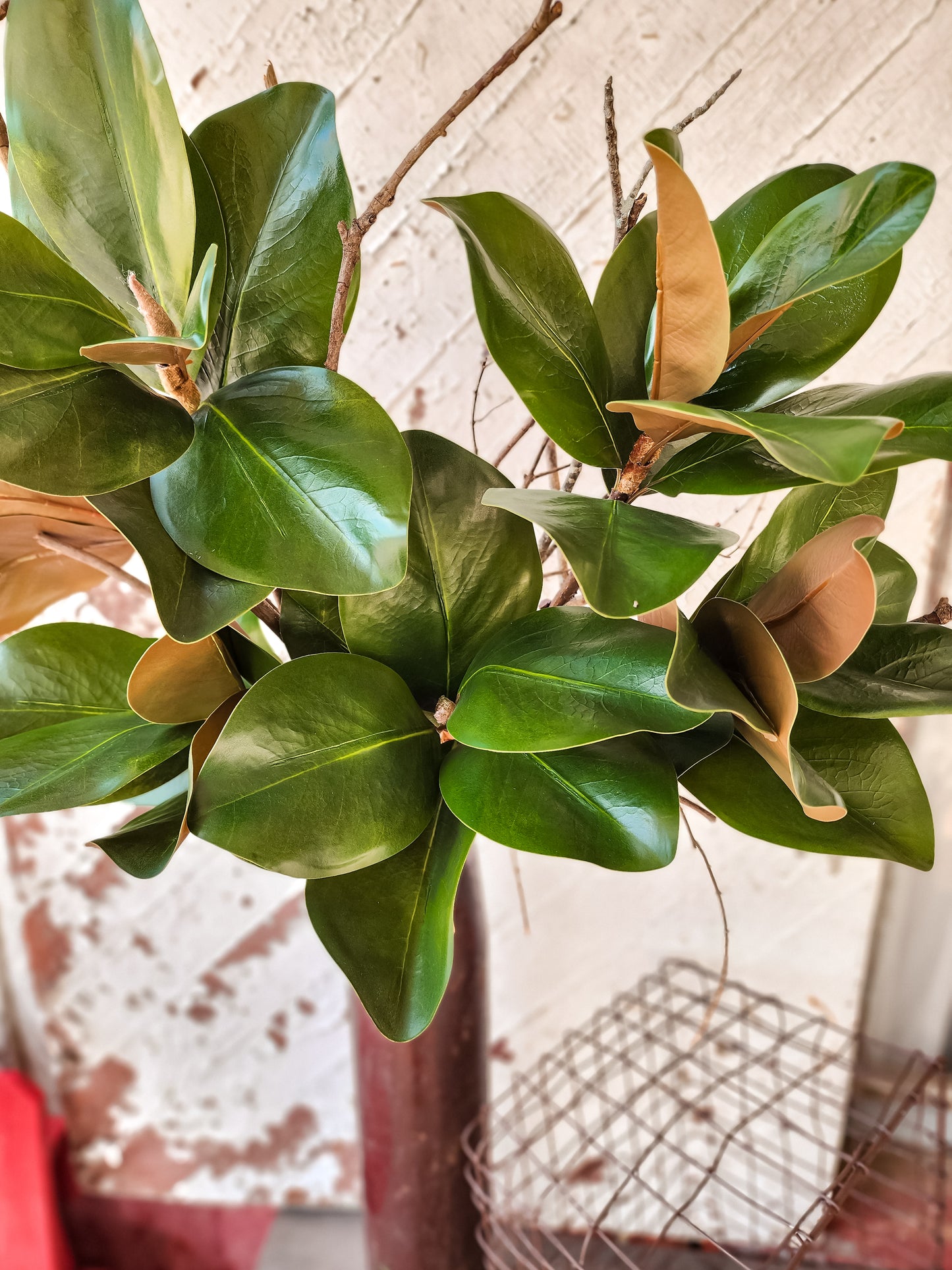 41" Magnolia Leaf Branch (Real Touch)