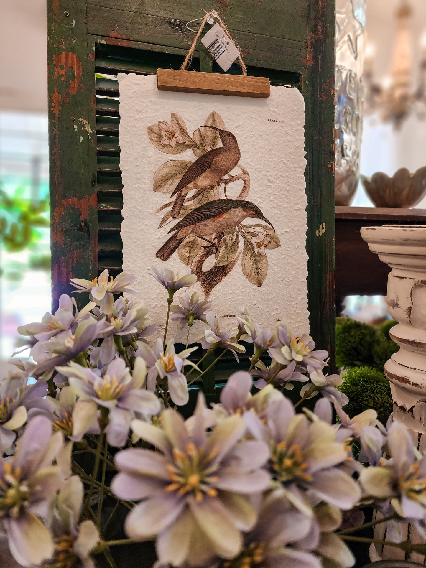 Papered Birds (Assorted)