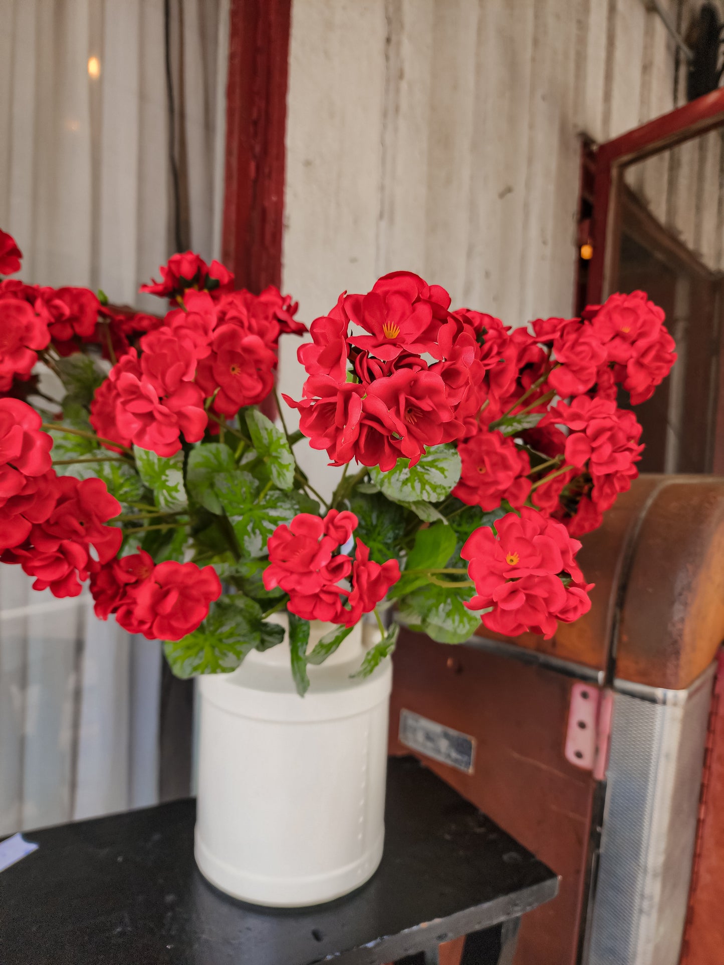 Brightside Geranium Bush