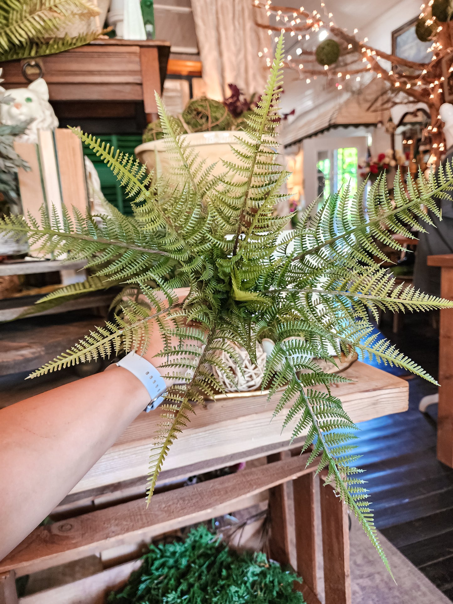 Short Wild Fern Bunch