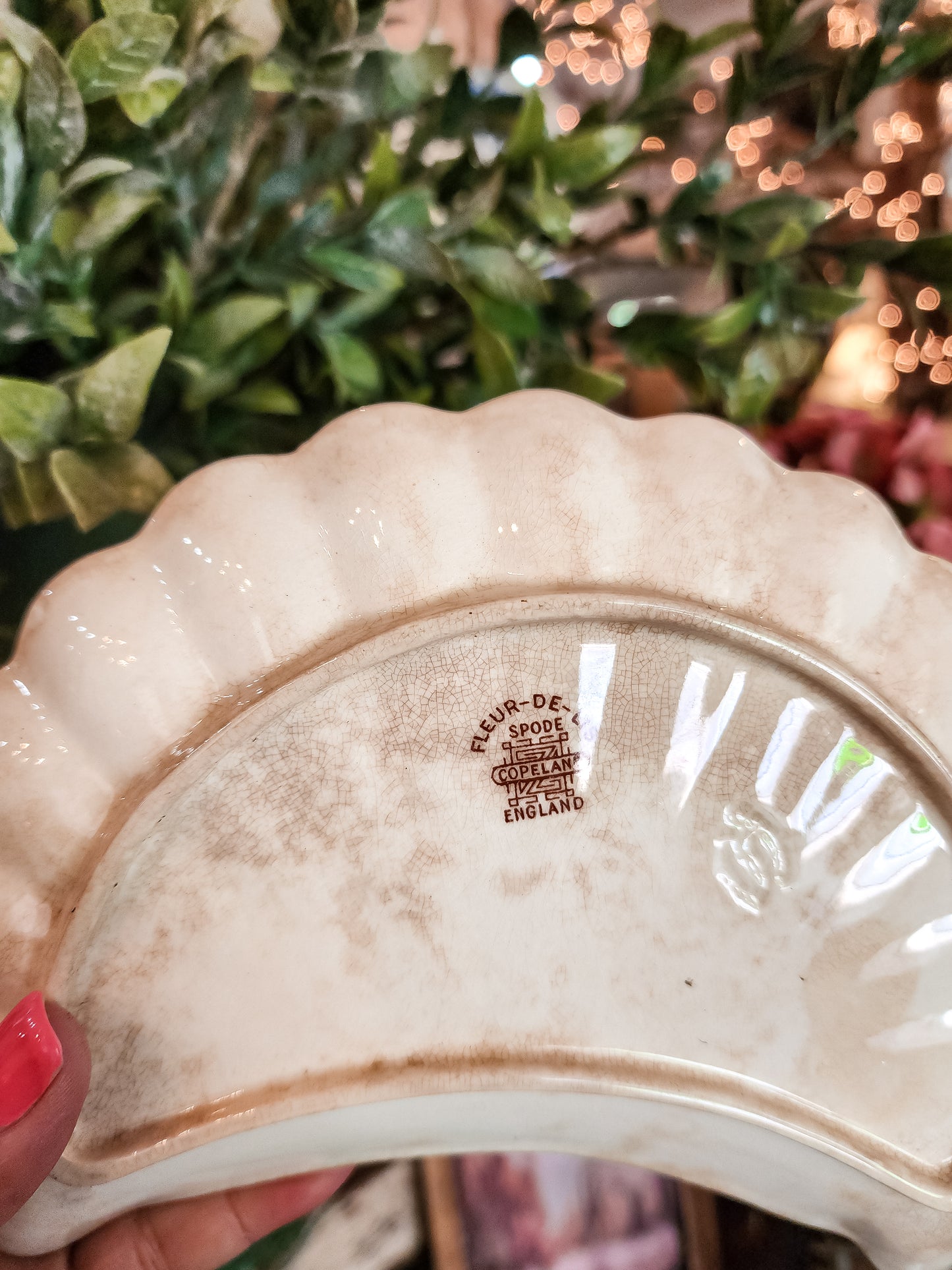 (Spode) Crescent Dish
