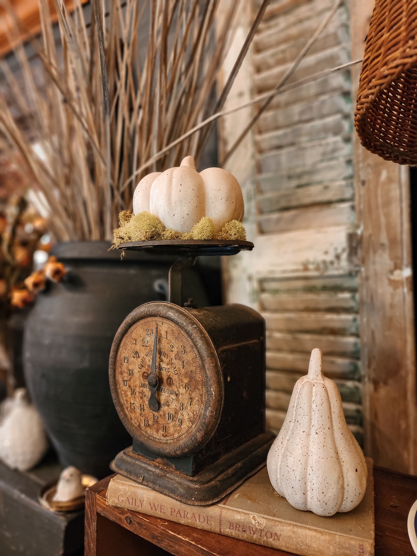 Speckled Stoneware Pumpkins (Assorted)