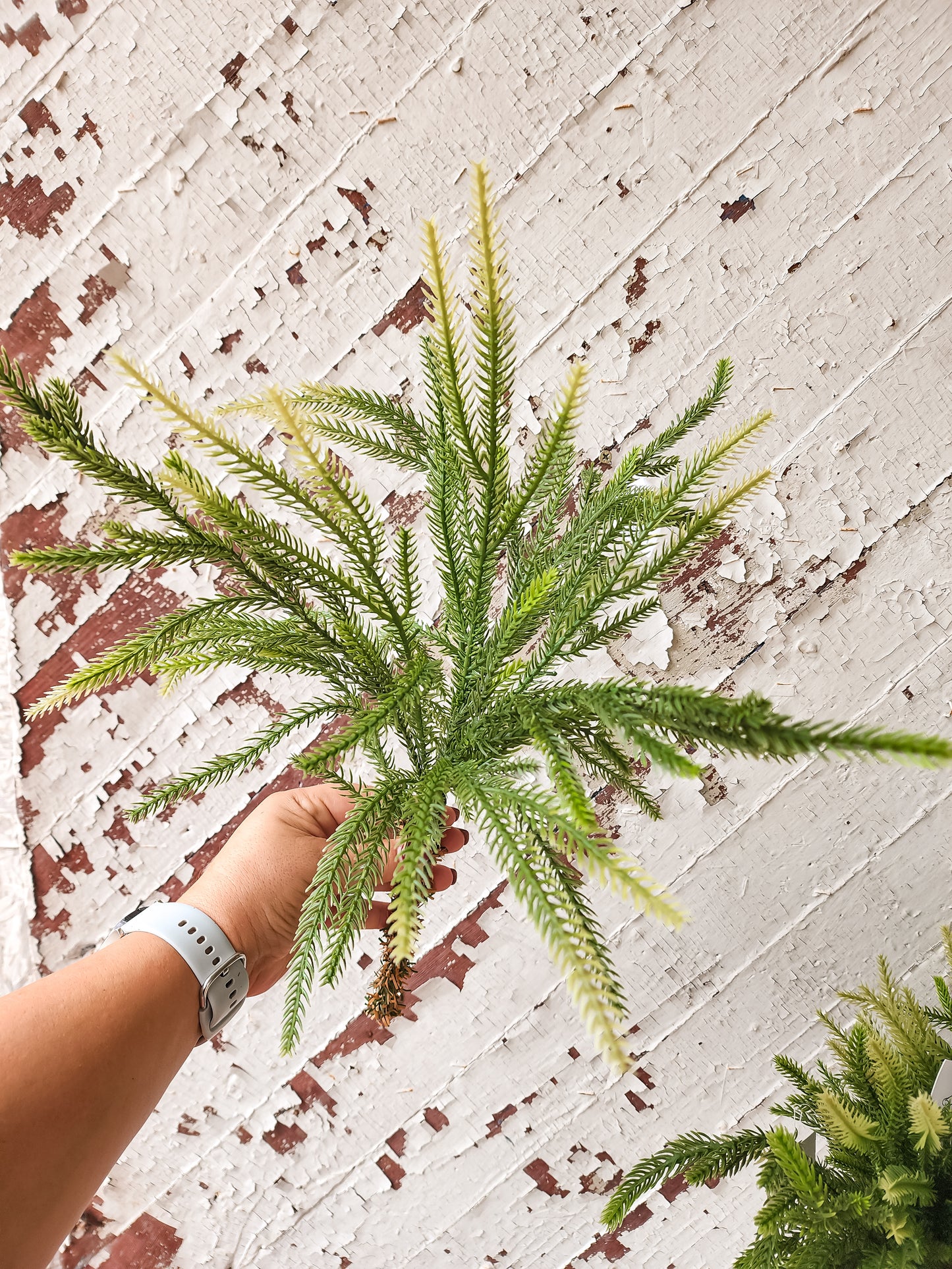 Short Fir Stem | Real Touch
