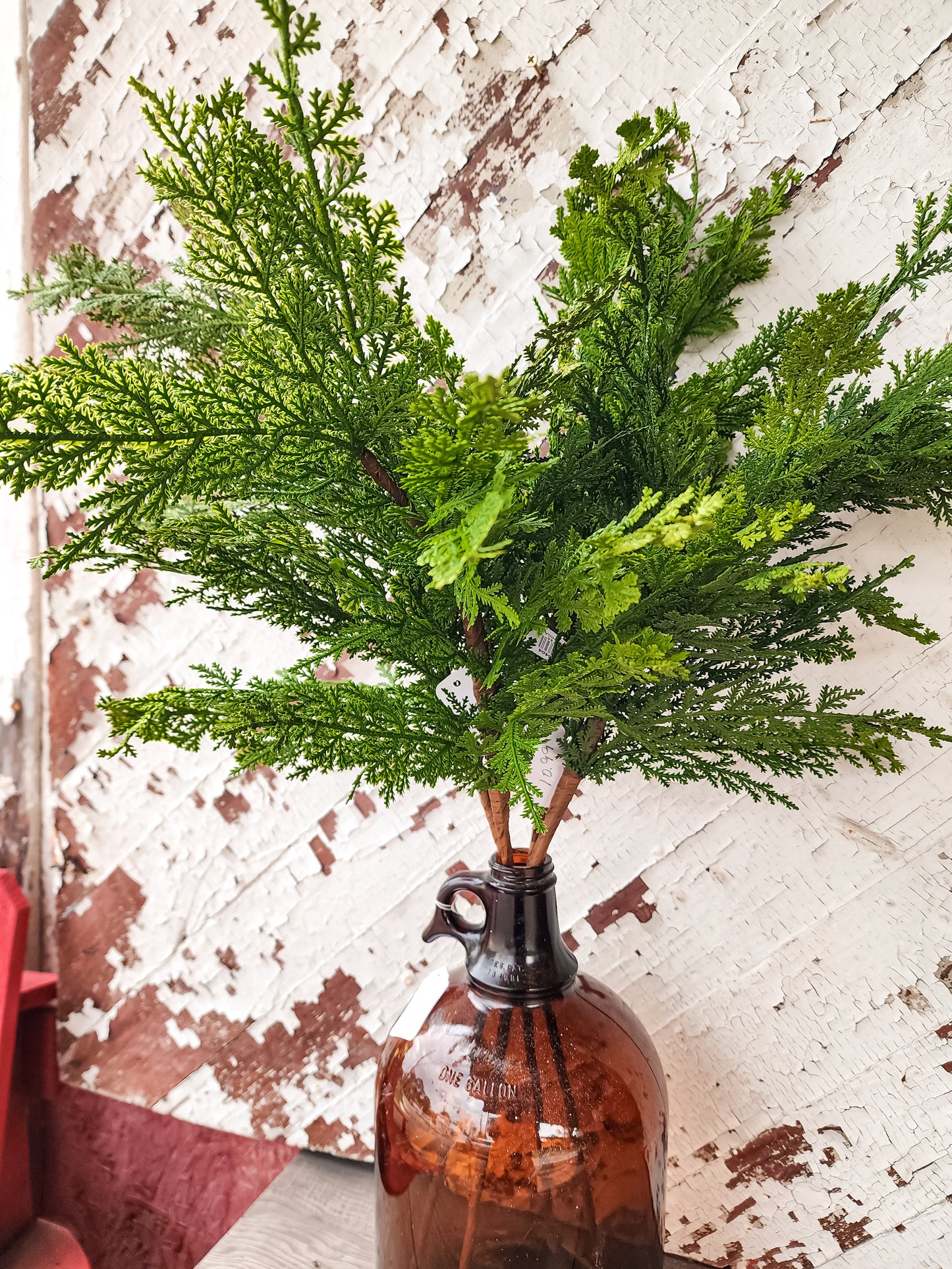 Northern Cedar Spray