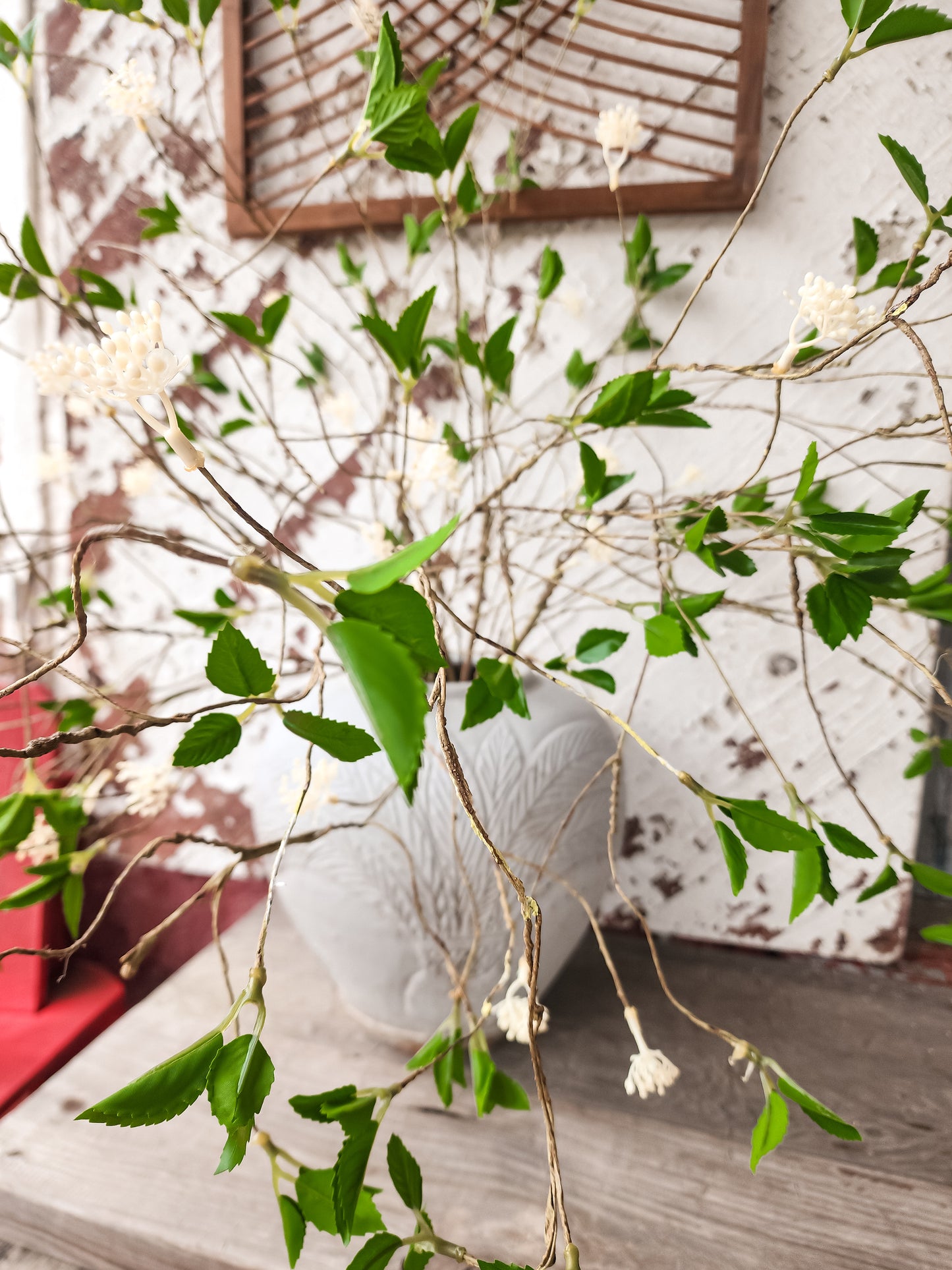 Willow Budding Branch