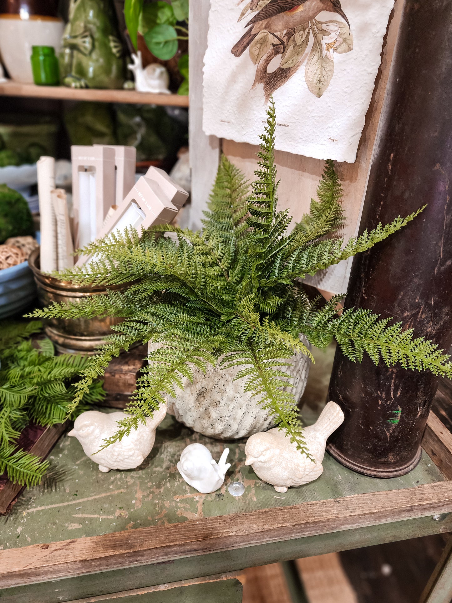 15" Maiden hair Fern Bush