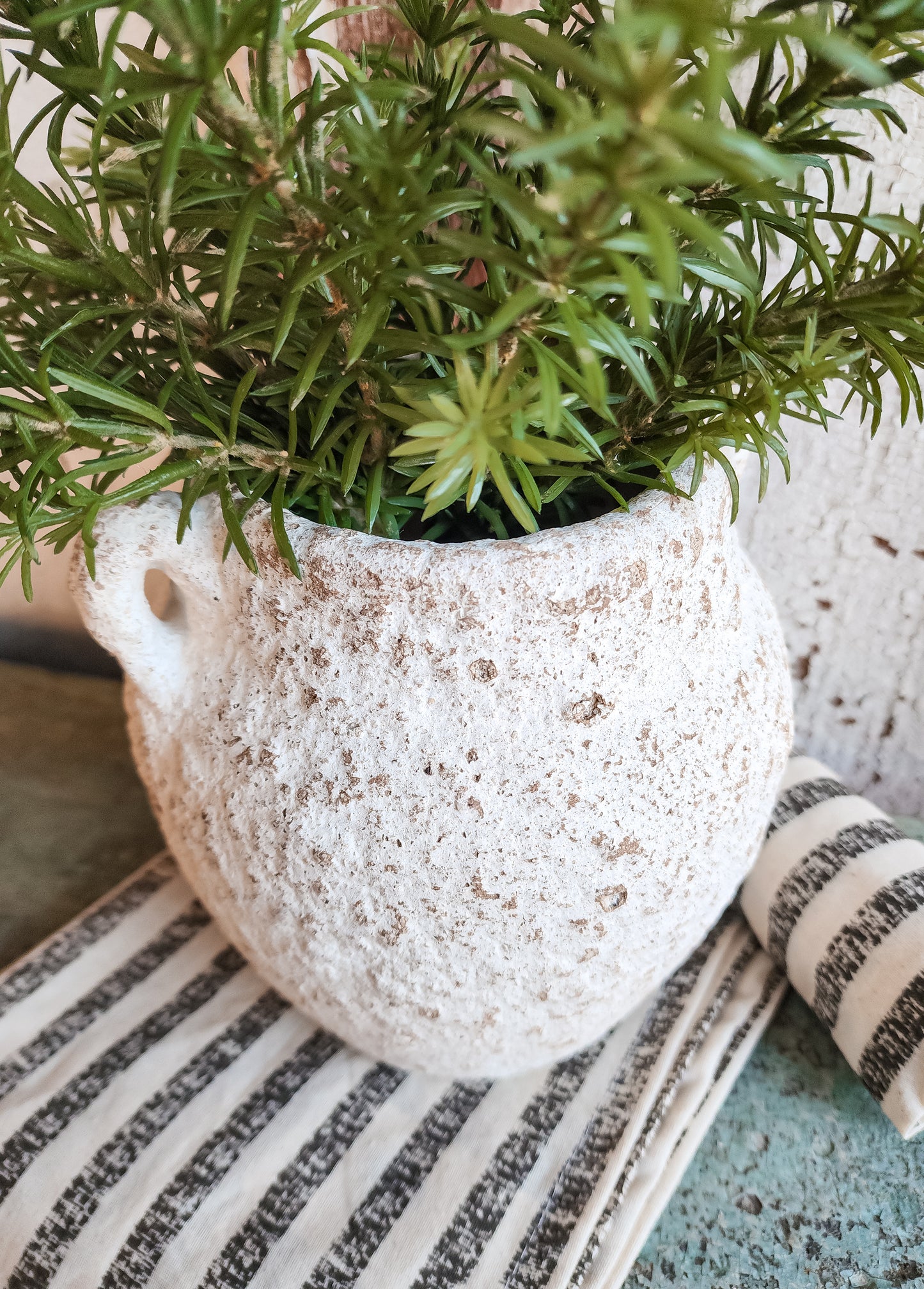 Ceramic Vase with Rosemary Situation