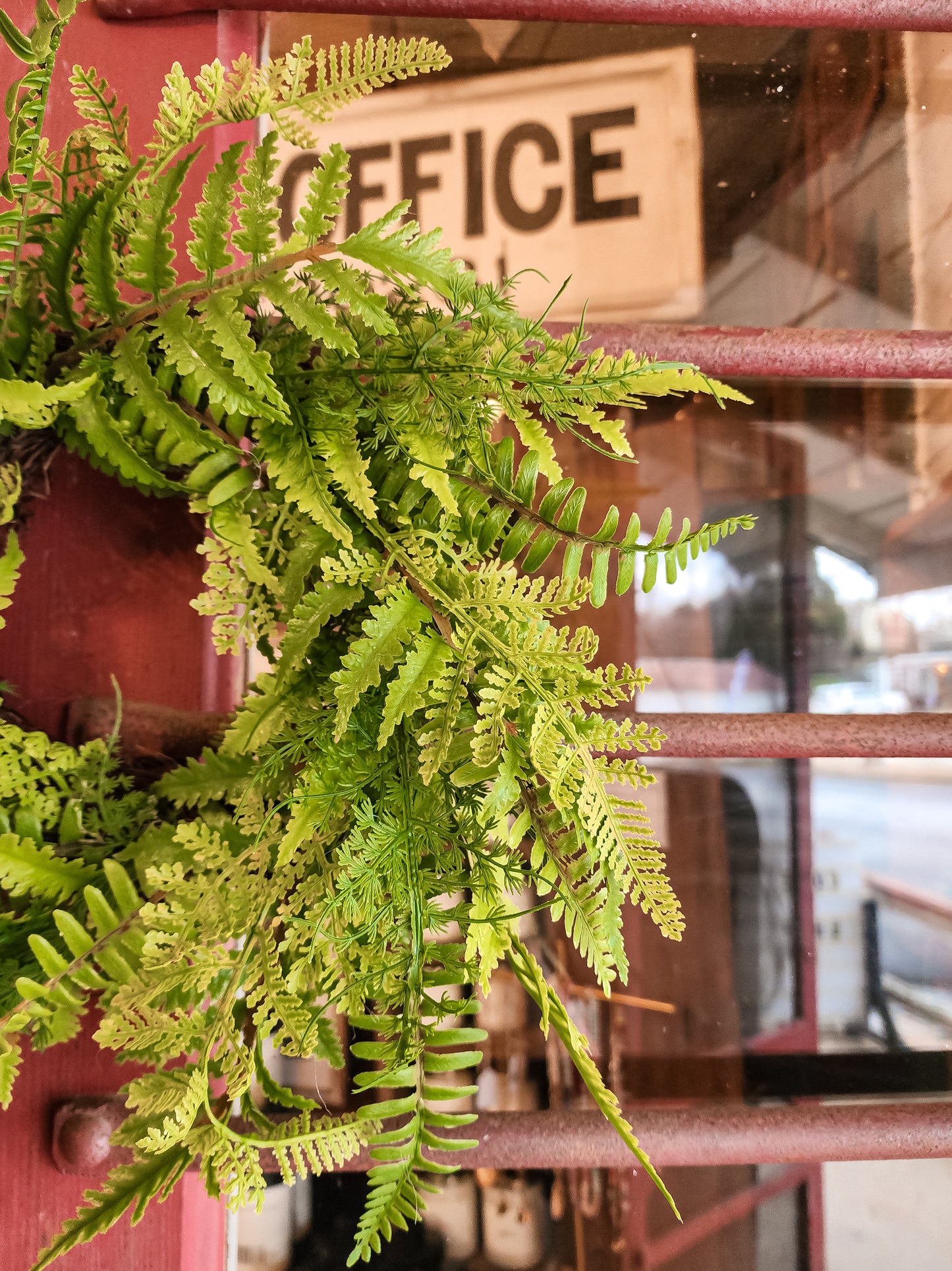 14" Multi Fern Wreath