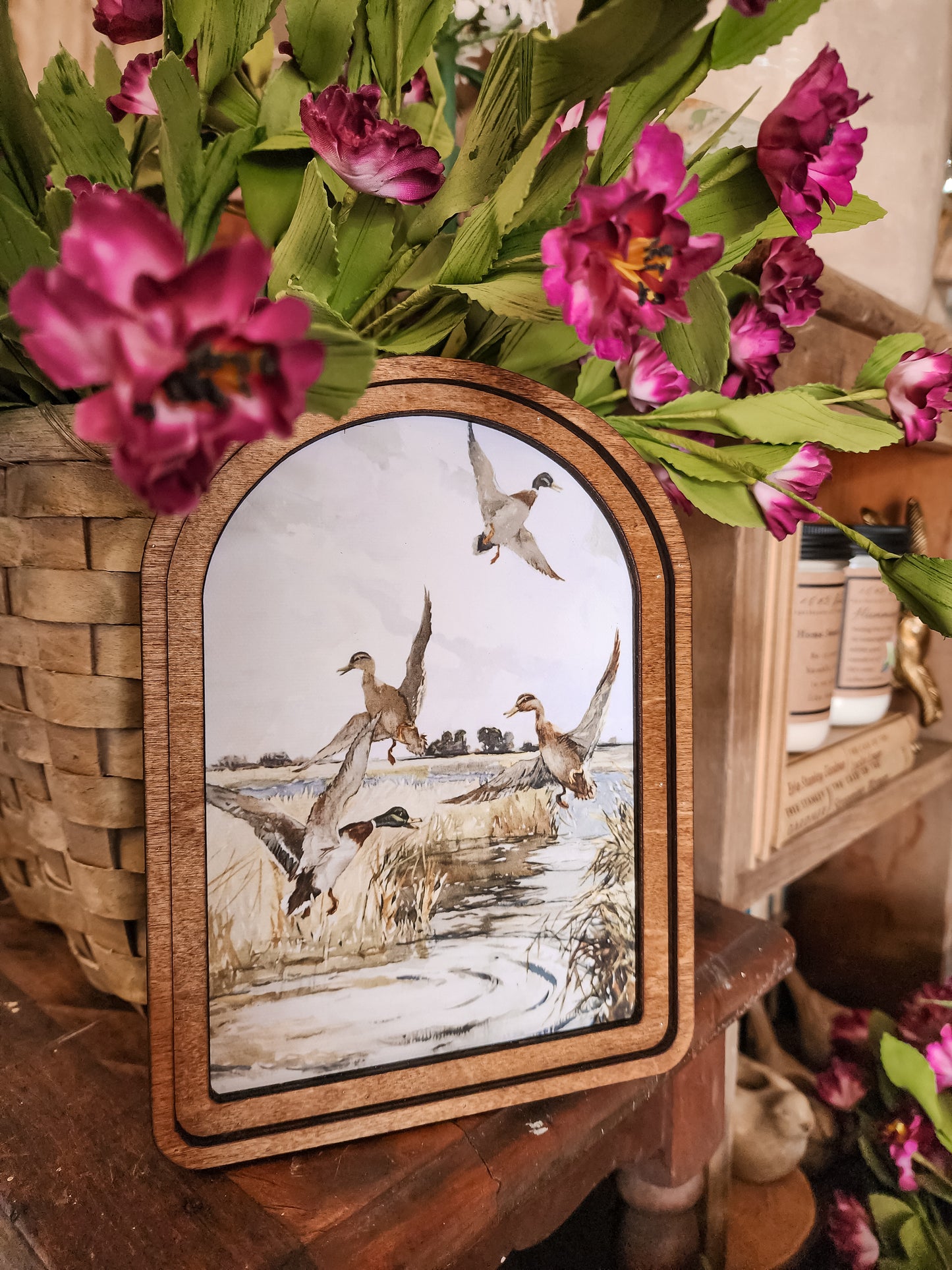 Arch Mallard Duck Framed Art