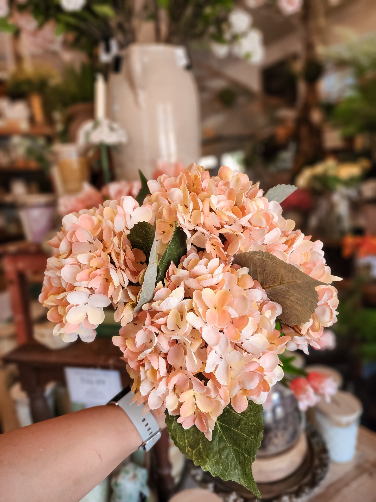 Paper Leaf Hydrangea