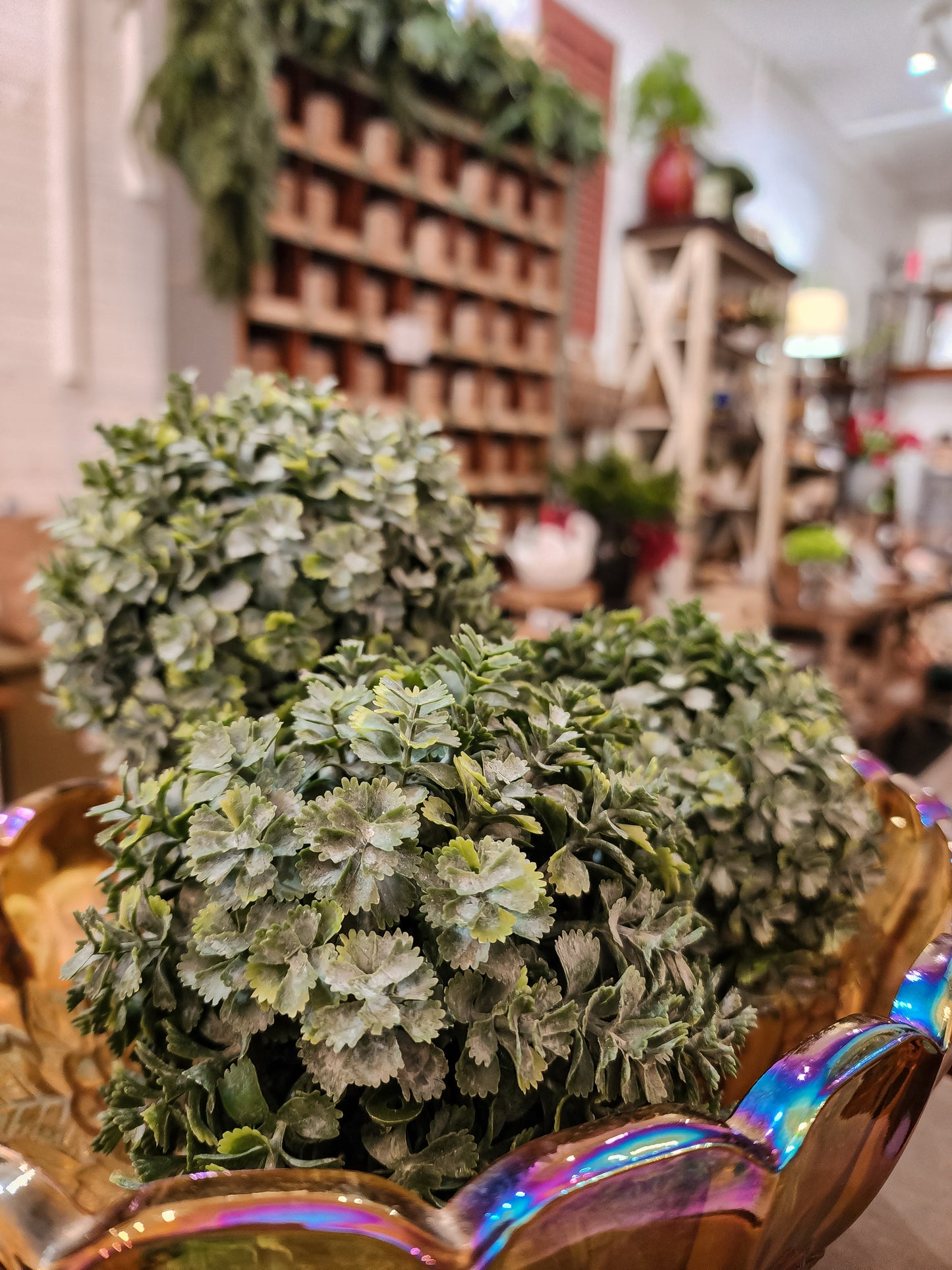 Creeping Sedum Ball