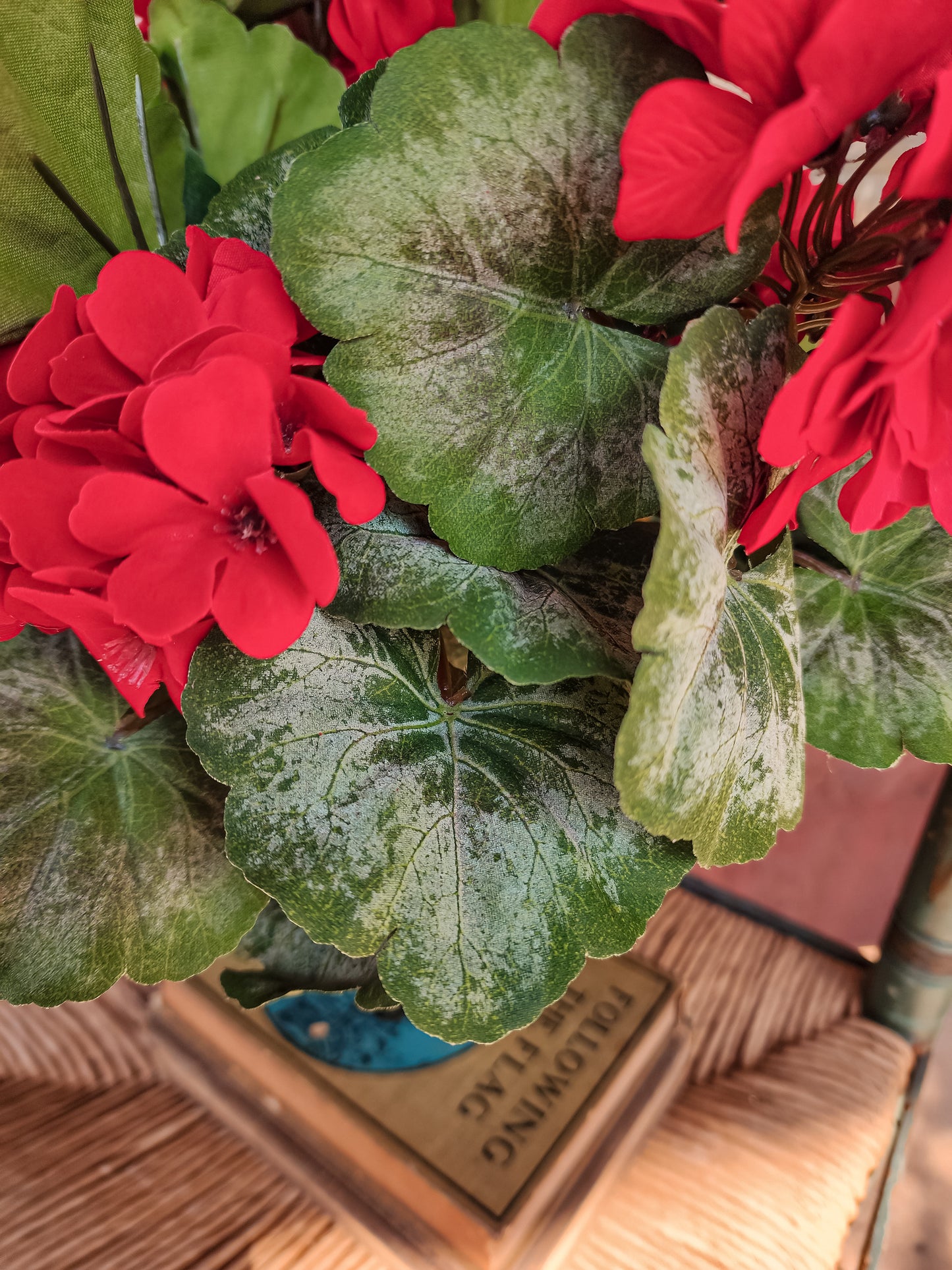 Red Geranium Bush