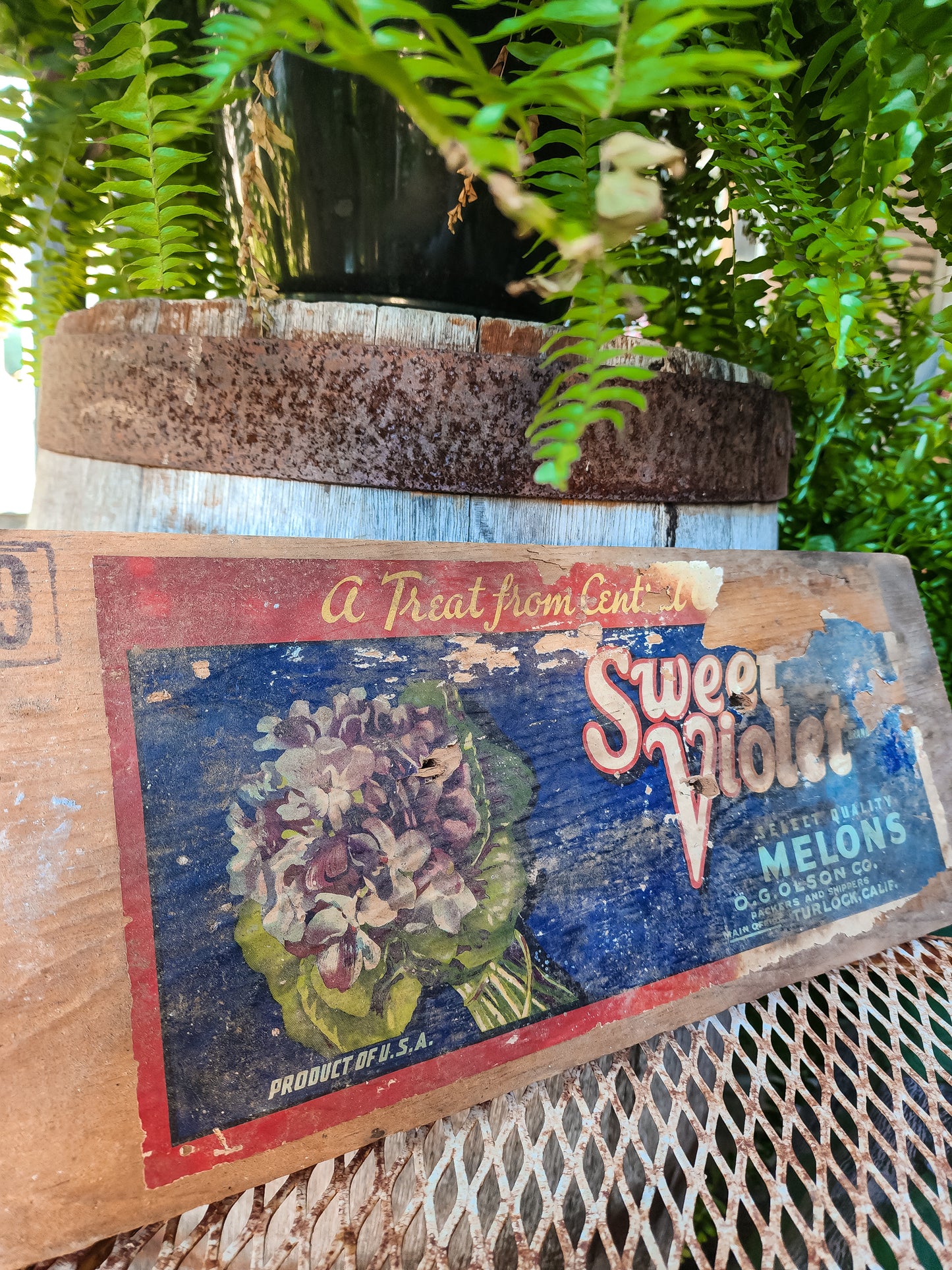 Vintage Wood Side from Create