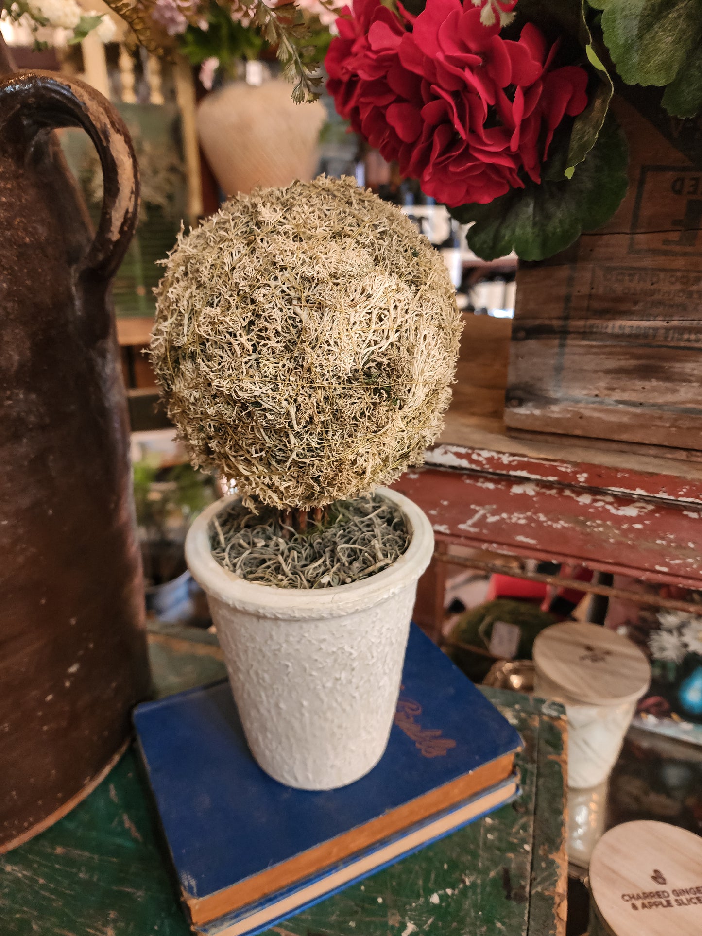 Potted topiary