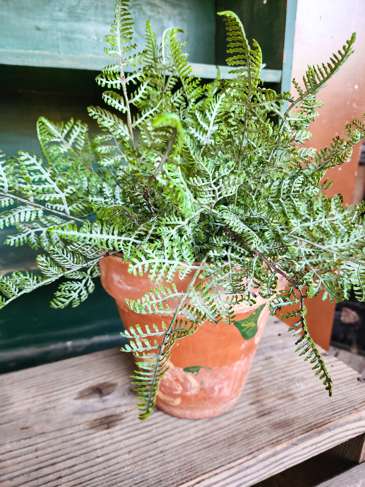 Dusty Real Touch Fern